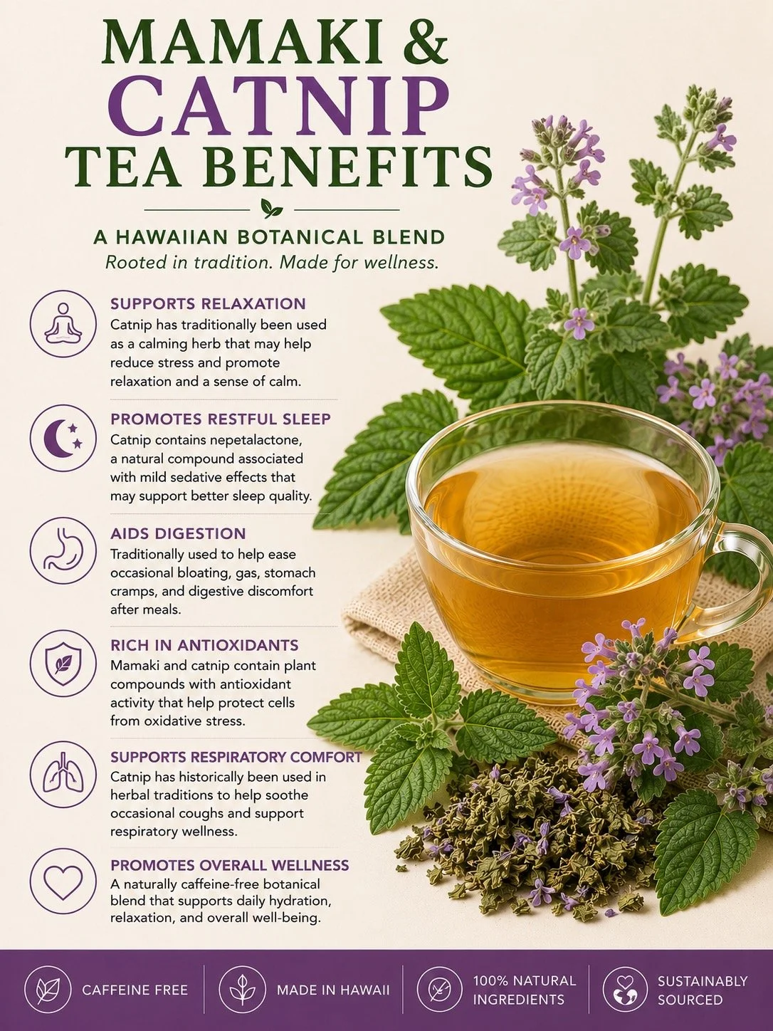 Packaging of Mamak and Catnip Tea benefits with a cup of tea, catnip plant, and informational text about health benefits such as relaxation, restful sleep, digestion aid, antioxidants, respiratory comfort, and overall wellness. Includes symbols for caffeine-free, made in Hawaii, natural ingredients, and sustainability.
