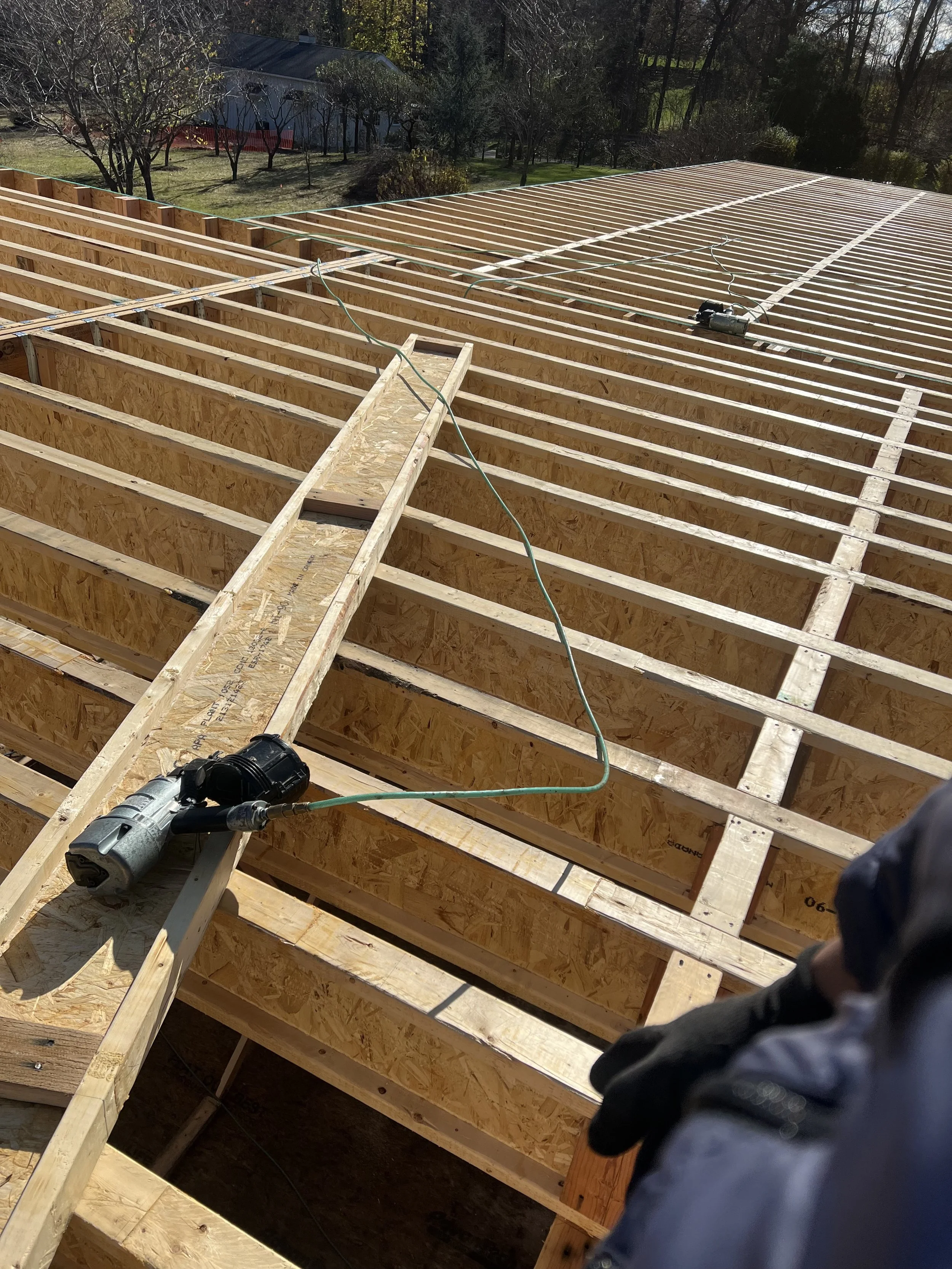 Carpenter 