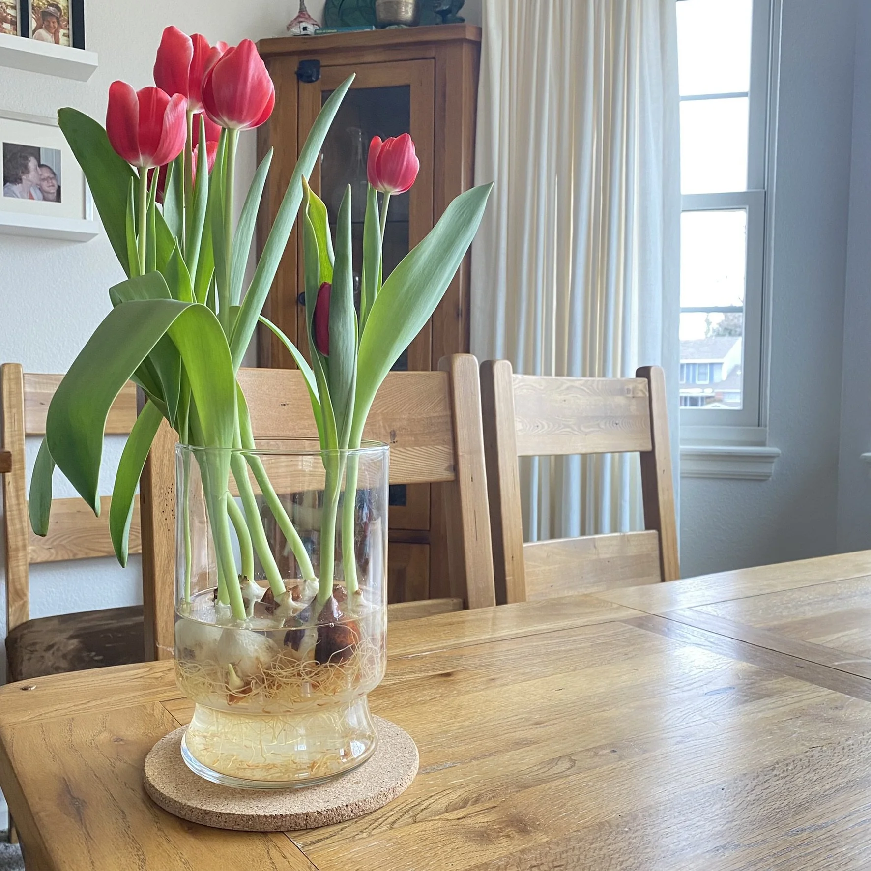 flowers on a table