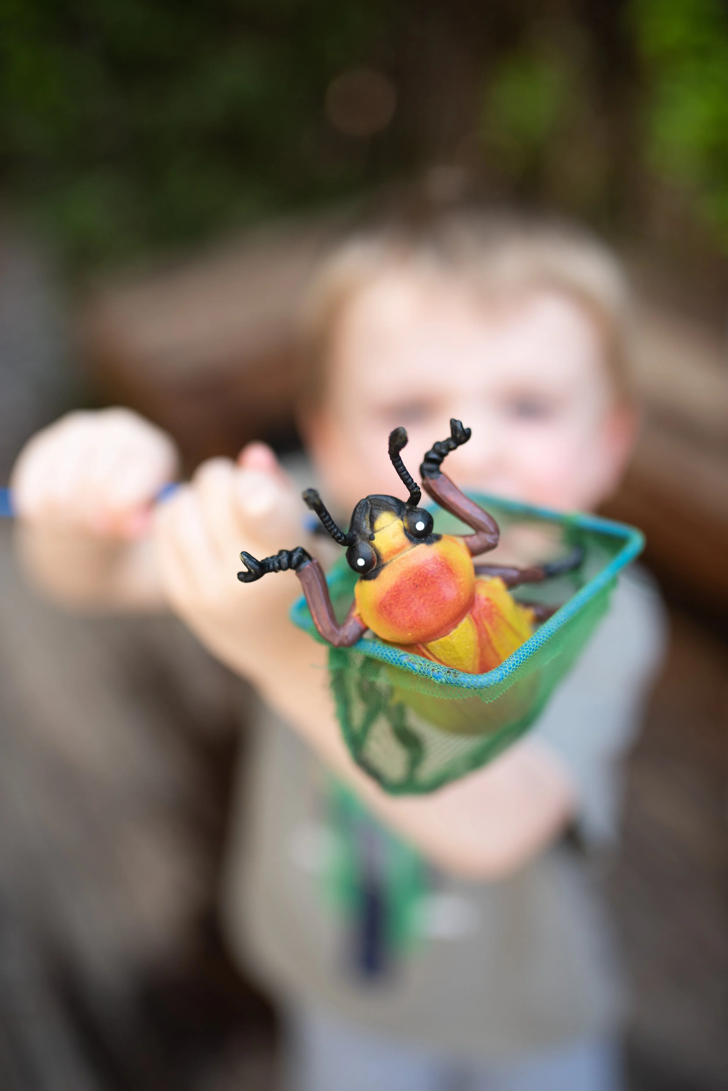 child with plastic bug in net