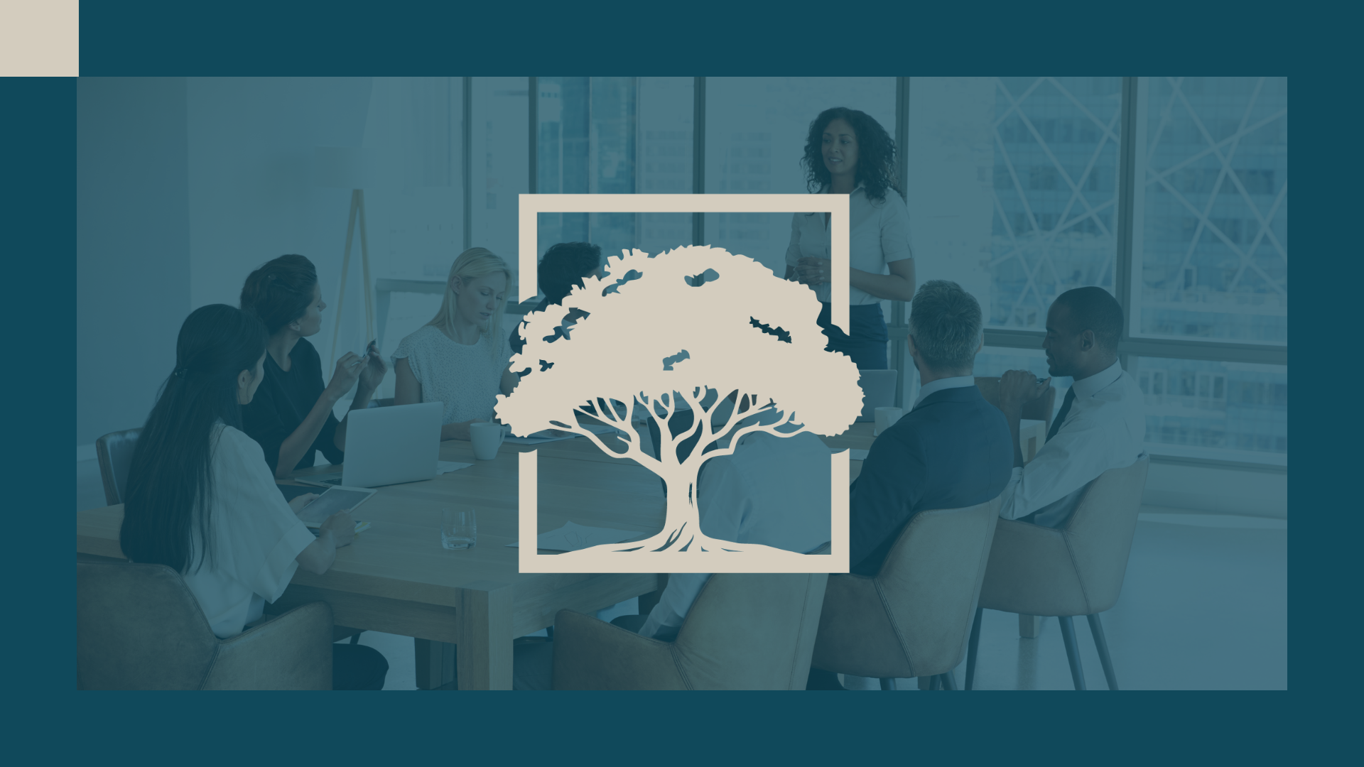 Willow Oak Consulting