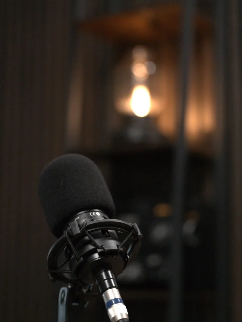 Close-up of a studio microphone with a black foam windscreen in front of a blurred background featuring a lamp.
