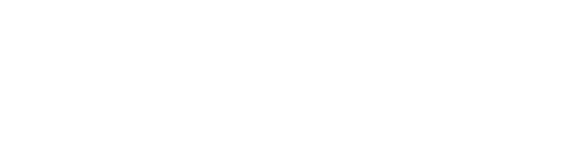 If Not Now Logo, which includes a white bird illustration. It looks like its walking towards the text, with its foot lifted.