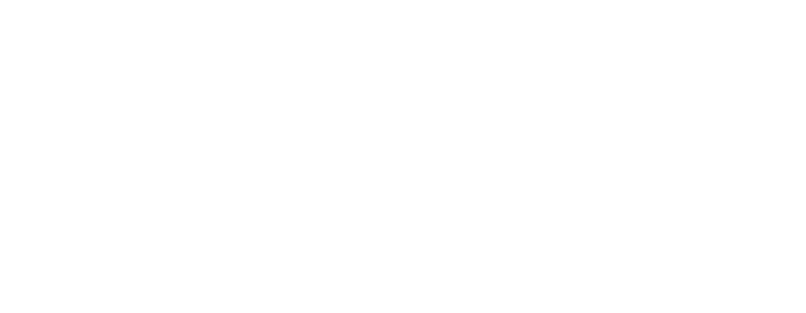 SUSAN SCANLON, MD, MSCP