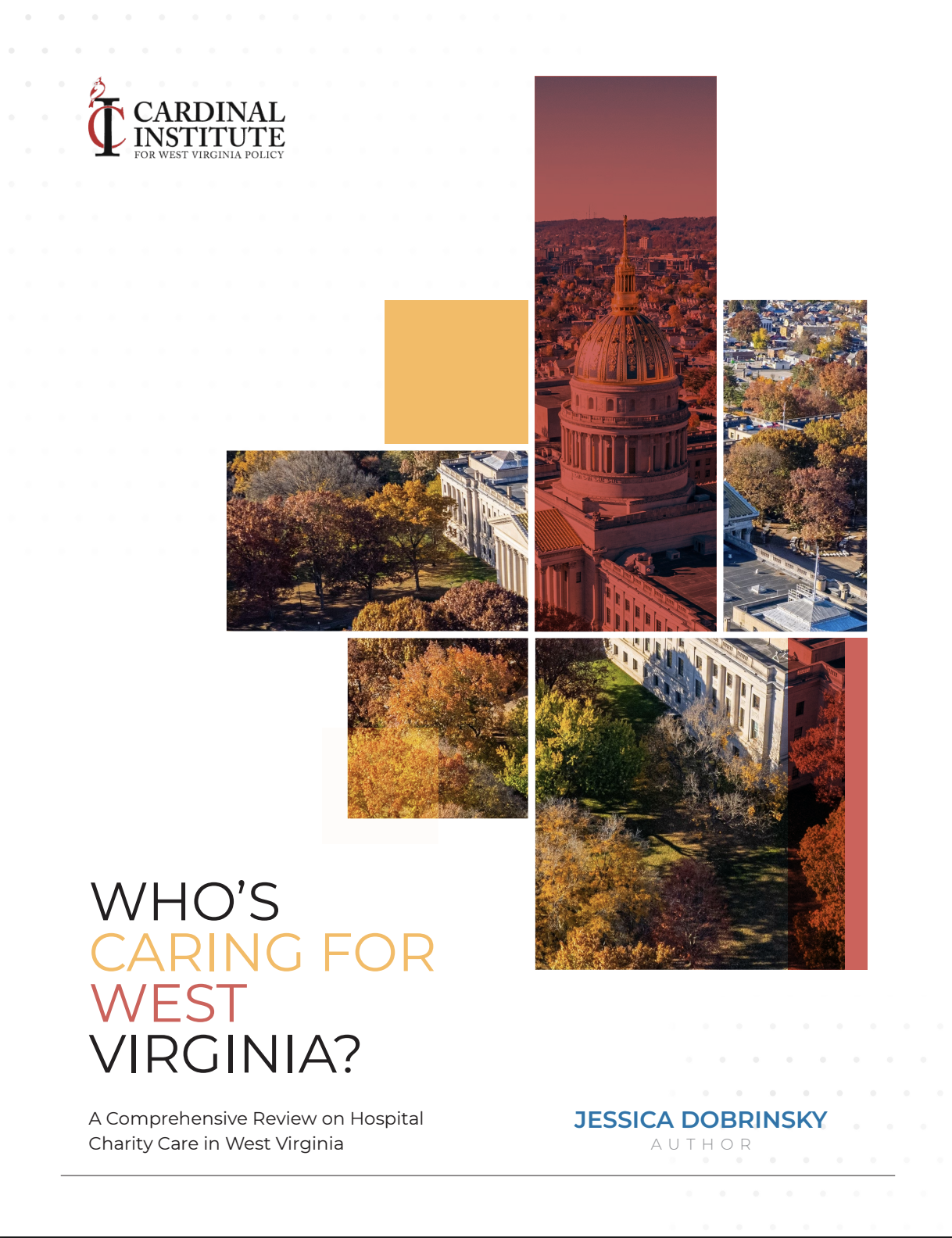 Book cover titled "Who's Caring for West Virginia?" by Jessica Dobrinsky, featuring an aerial view of West Virginia with autumn foliage and historic buildings.