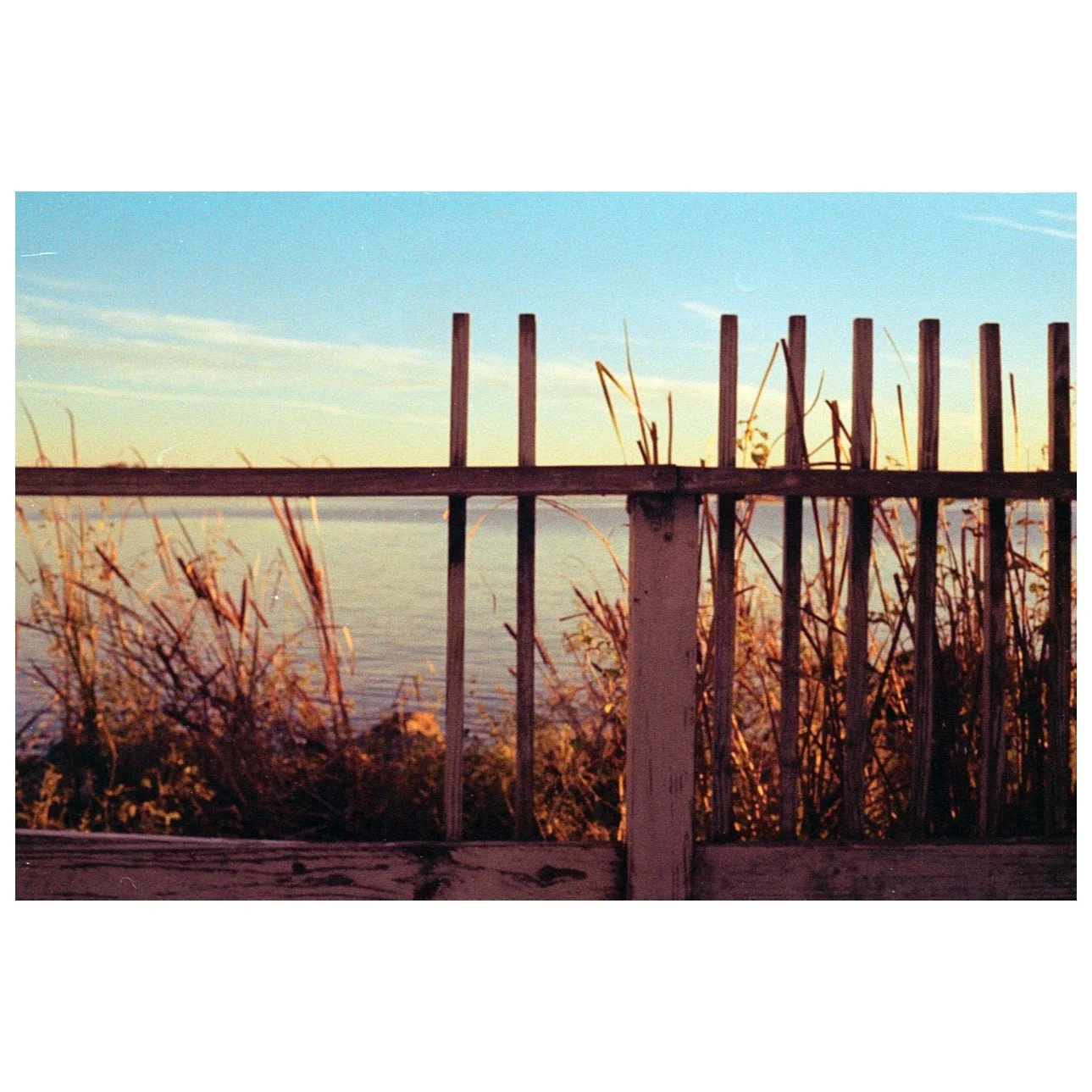 jones point (31).jpeg