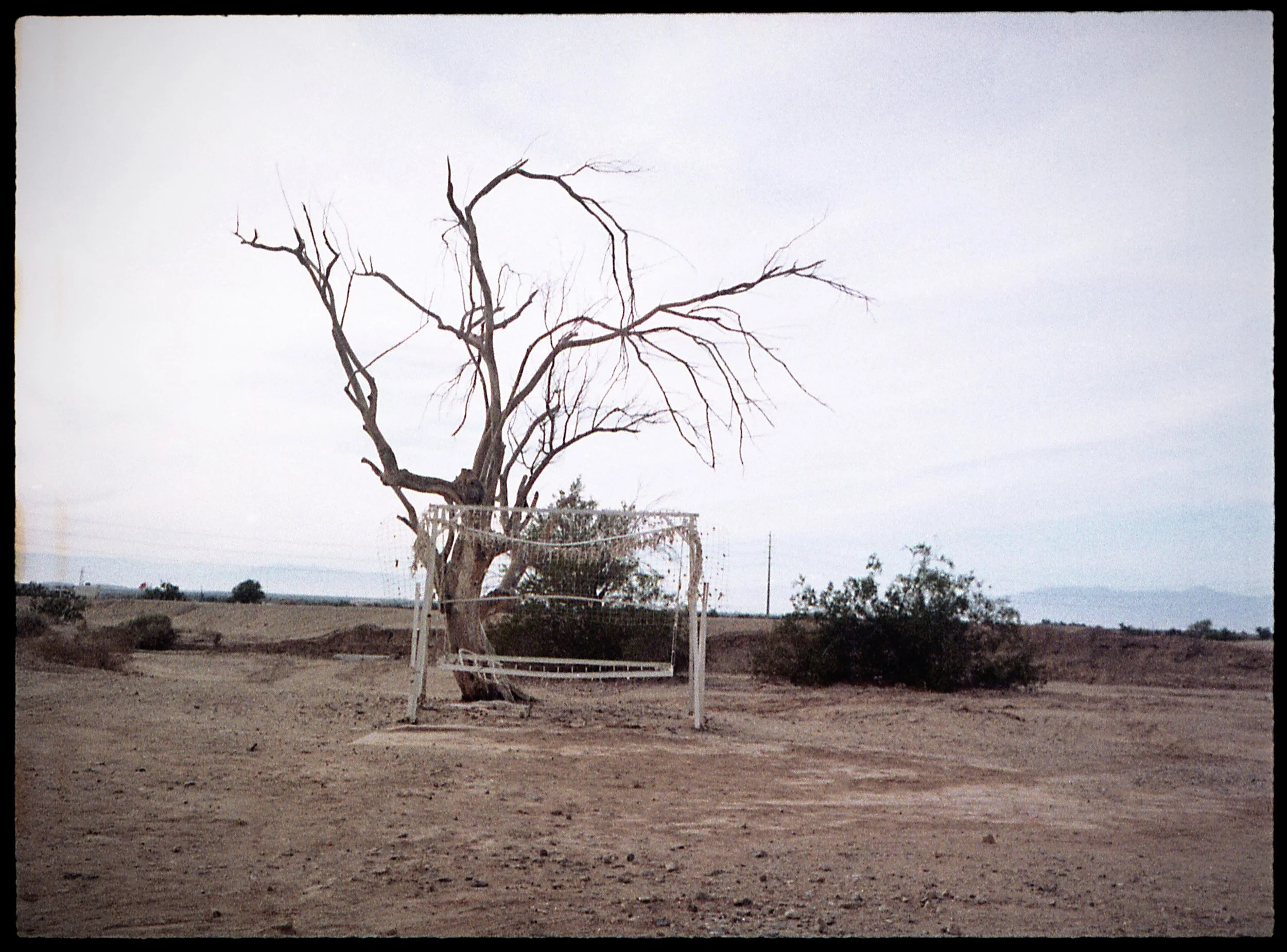 img437.jpg