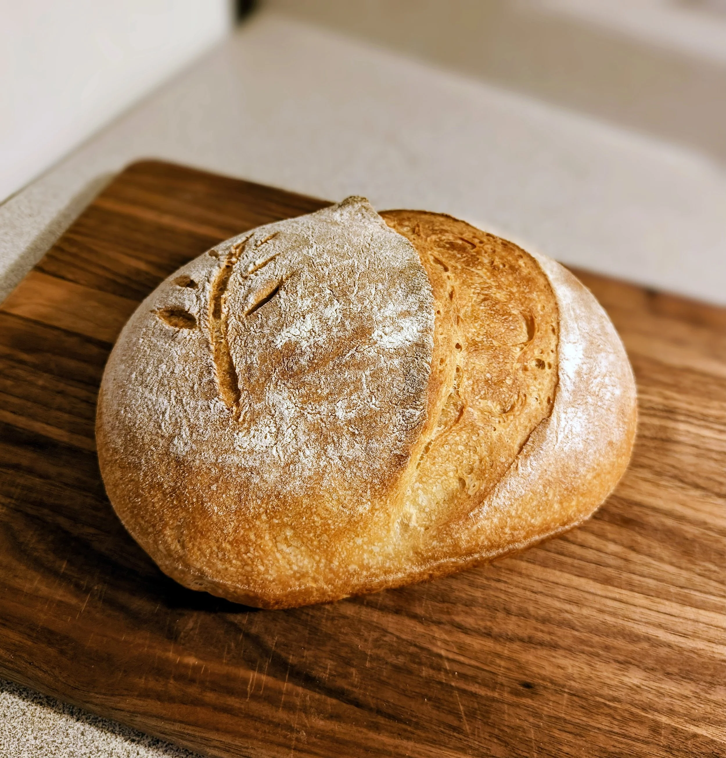 Plain Boule.jpg
