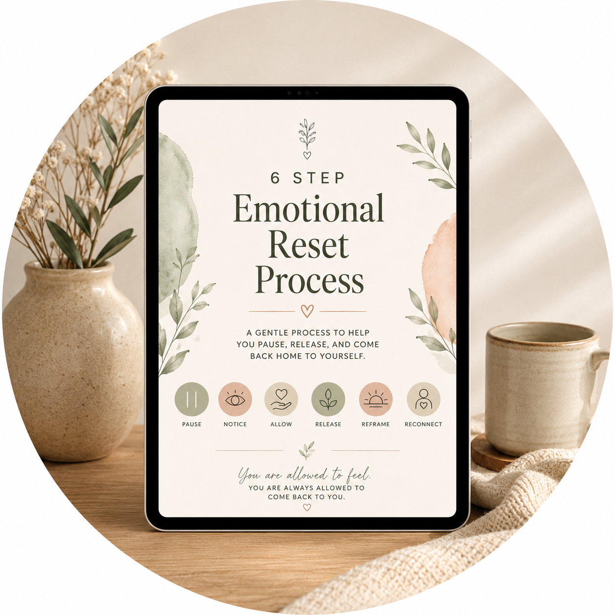 The 6-Step Emotional Reset Process