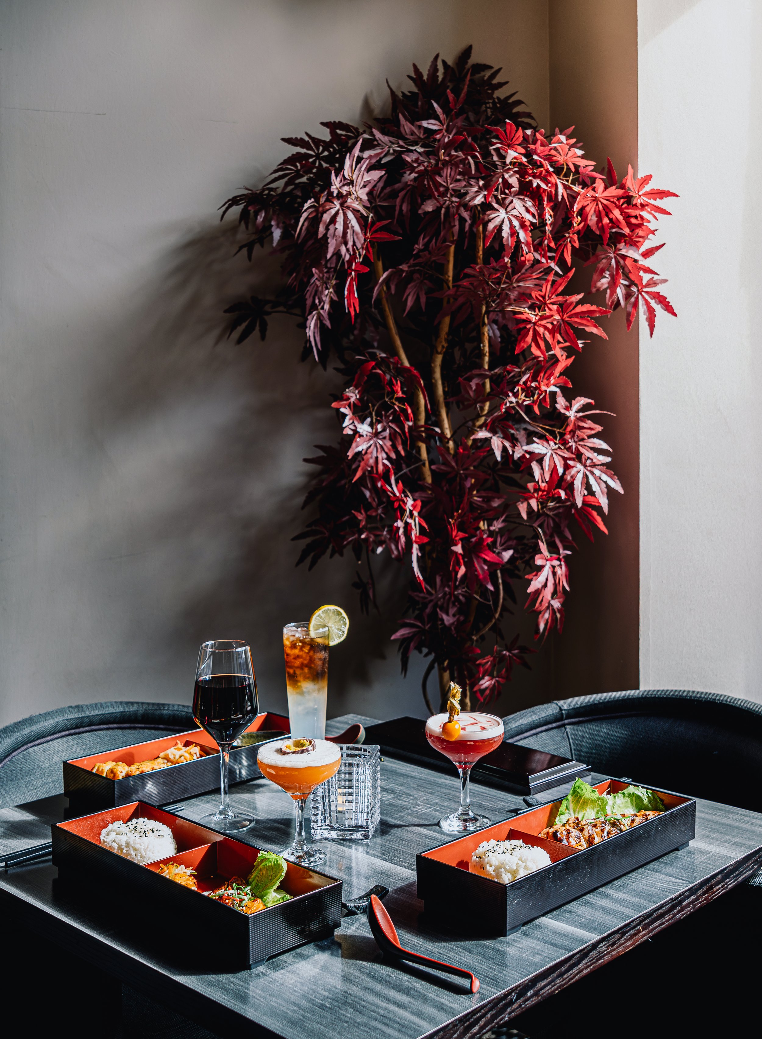 Table set with Japanese-style bento boxes containing rice, vegetables, and fish, along with three cocktails including a lime garnish, a glass of red wine, and a mixed drink with ice and fruit, against a dark wooden table and a large indoor plant with