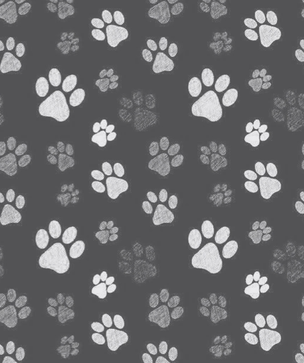 Pet Sitting Inquiry