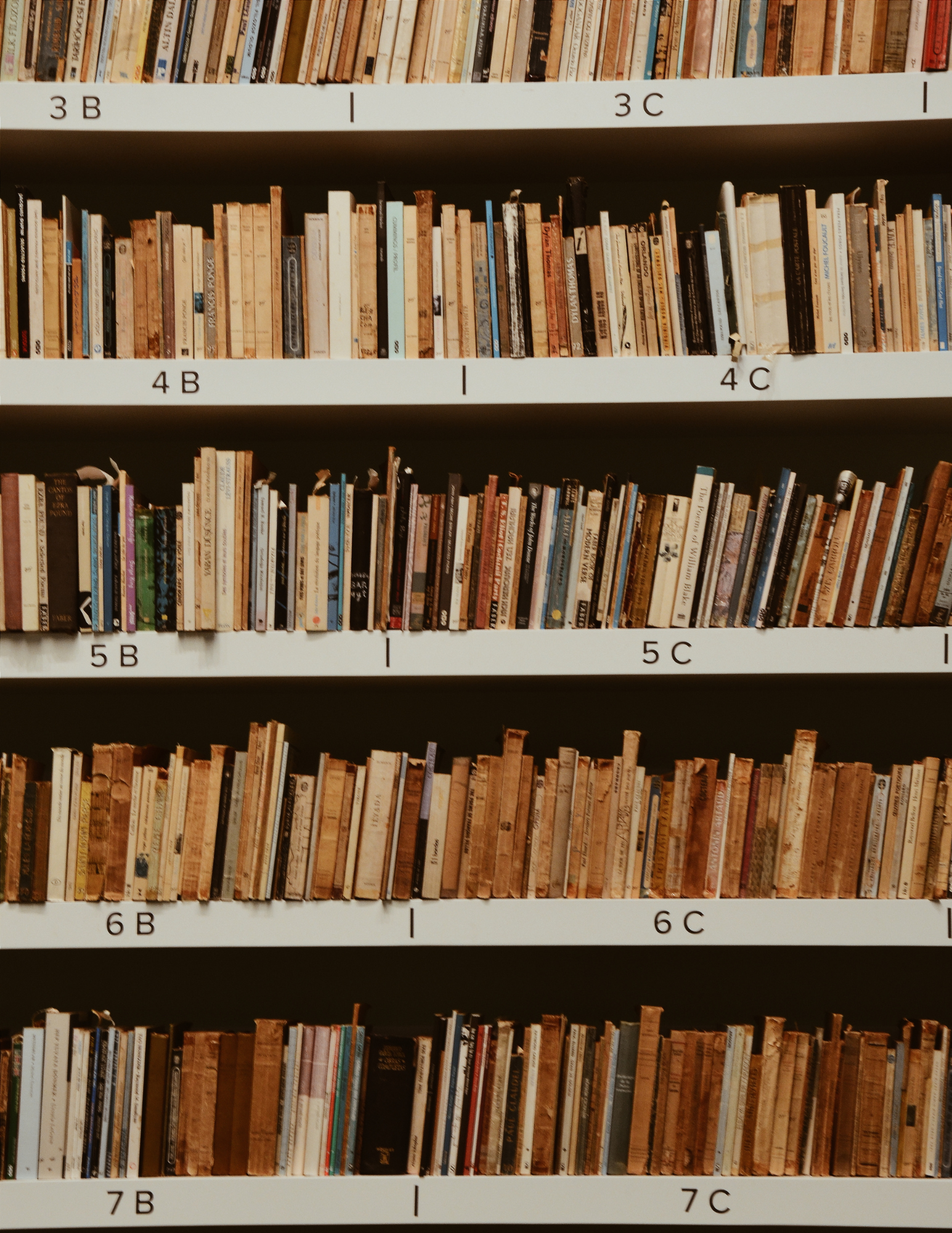 Organization