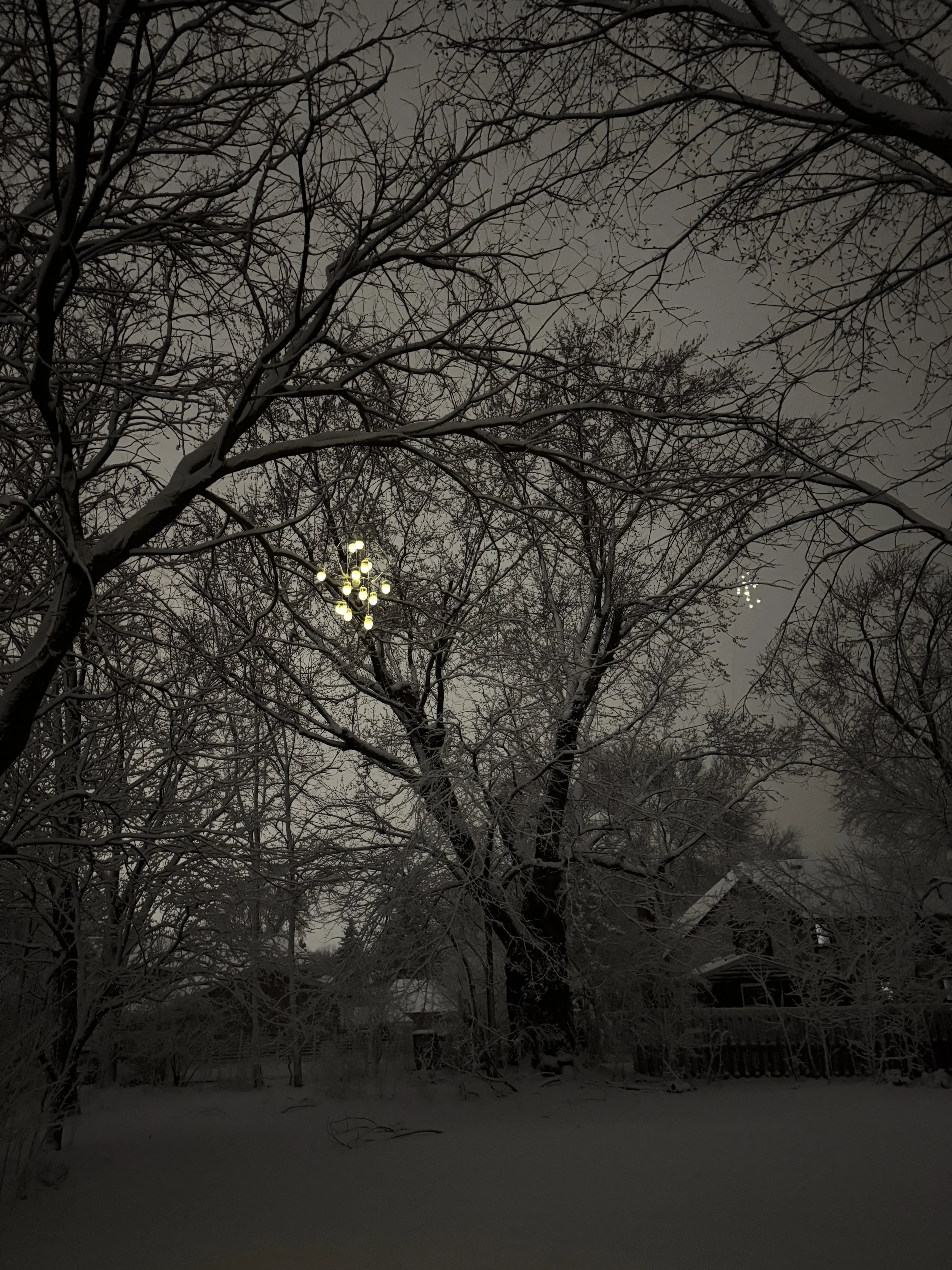 winterChandeliers.JPG