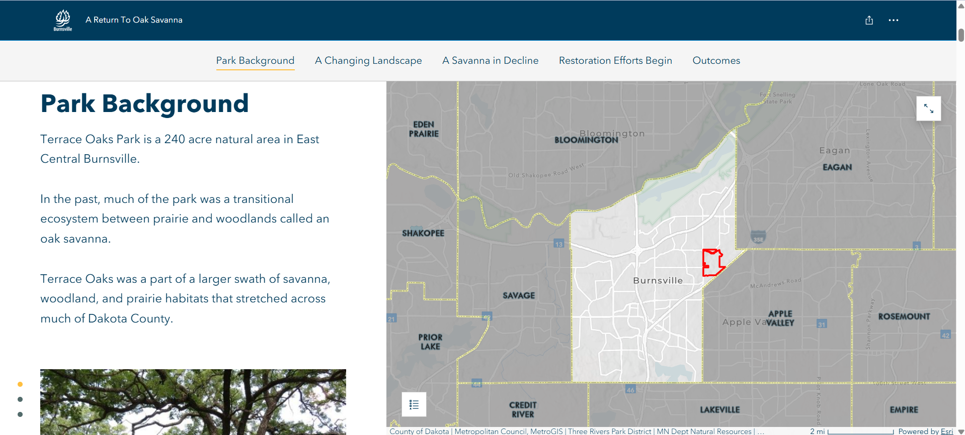 Terrace Oaks Park StoryMap