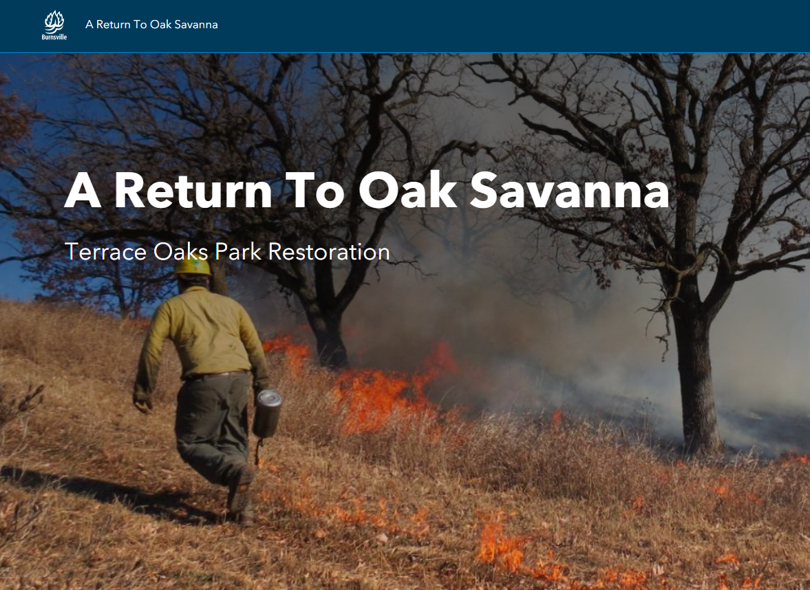 The main opening page for the Terrace Oaks Restoration project displaying the title and an image of park restoration in progress.