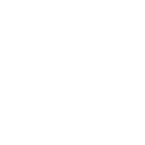Dior logo on a transparent background.
