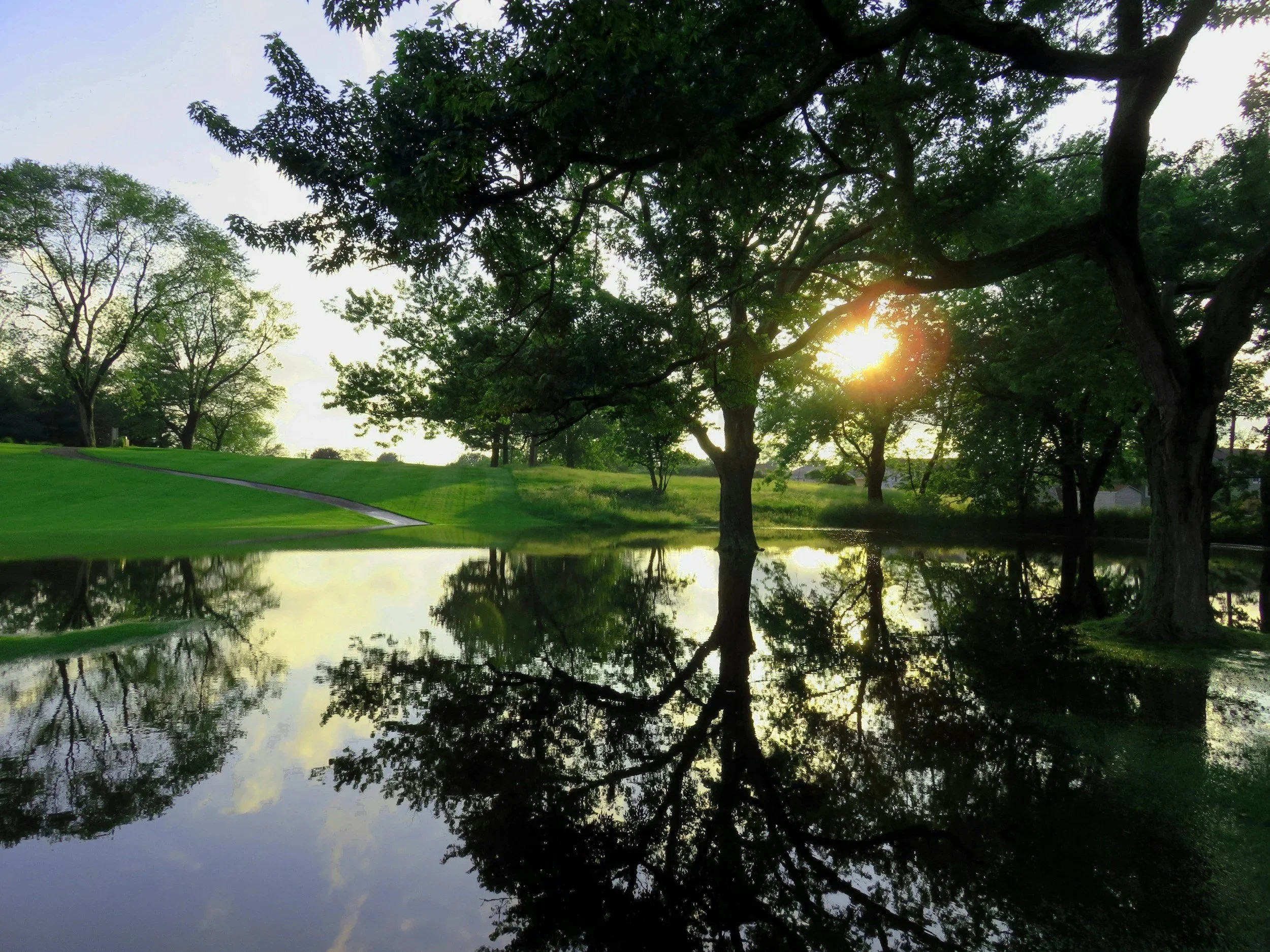 Trees reflected in a calm pond beneath a golden sky.