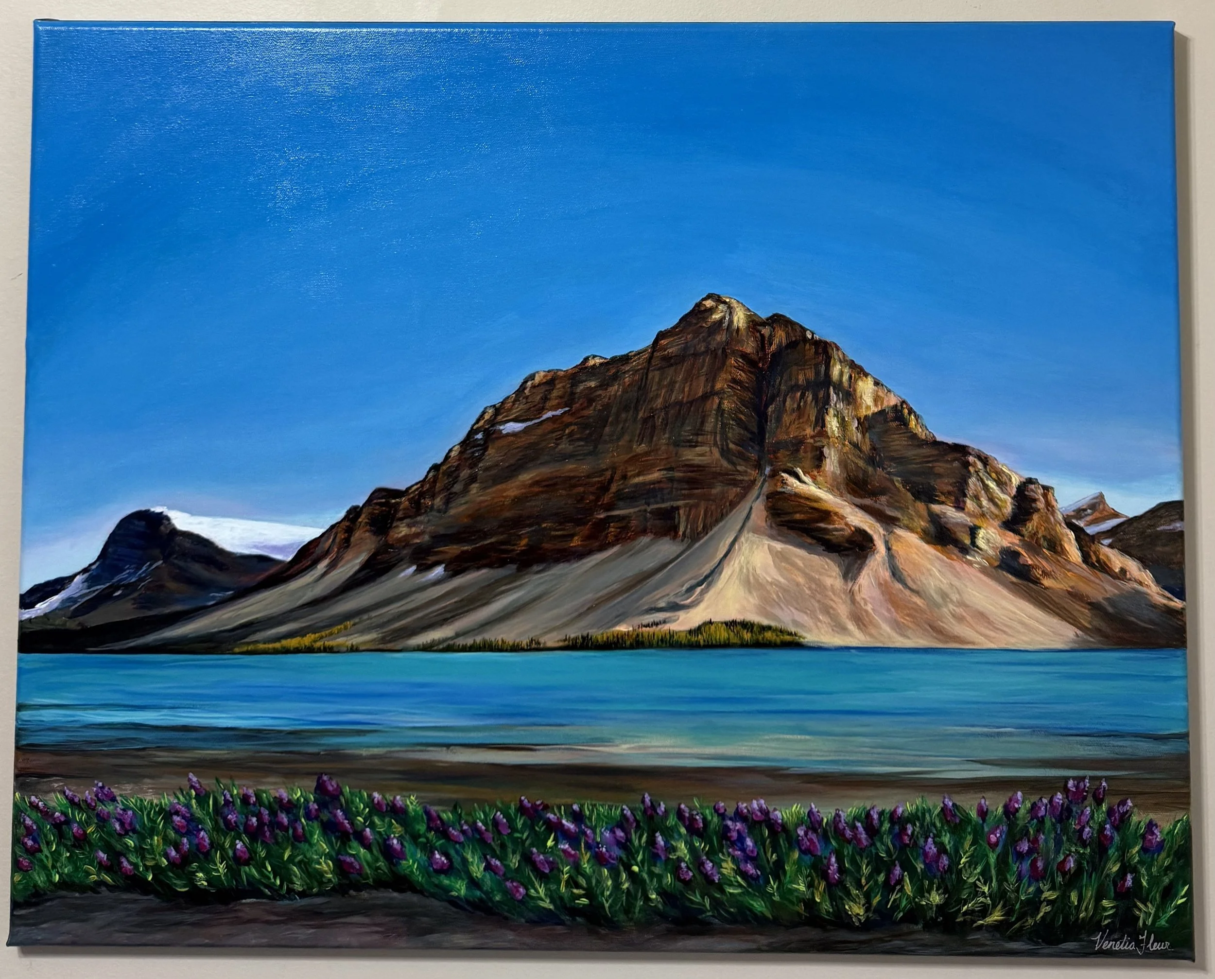 6467912 - Bow Lake by Venetia D'Souza.jpg