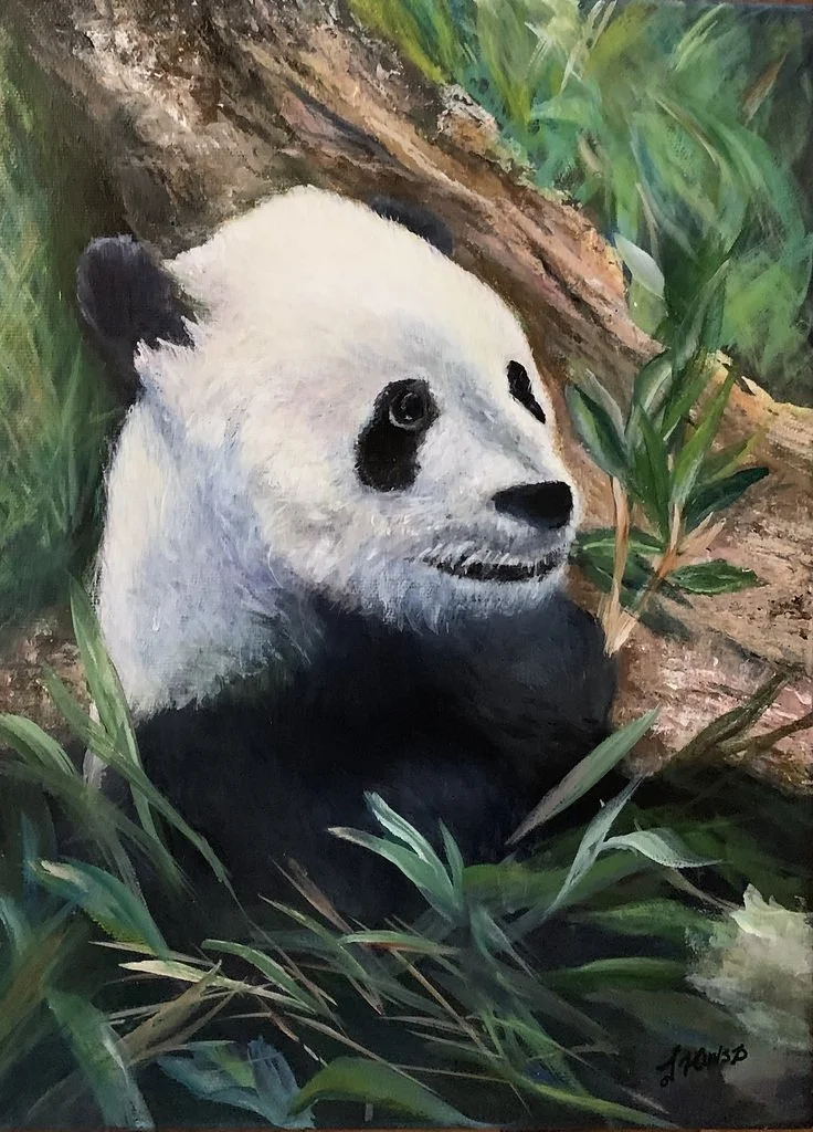 Panda by Jane Hinsz.jpg