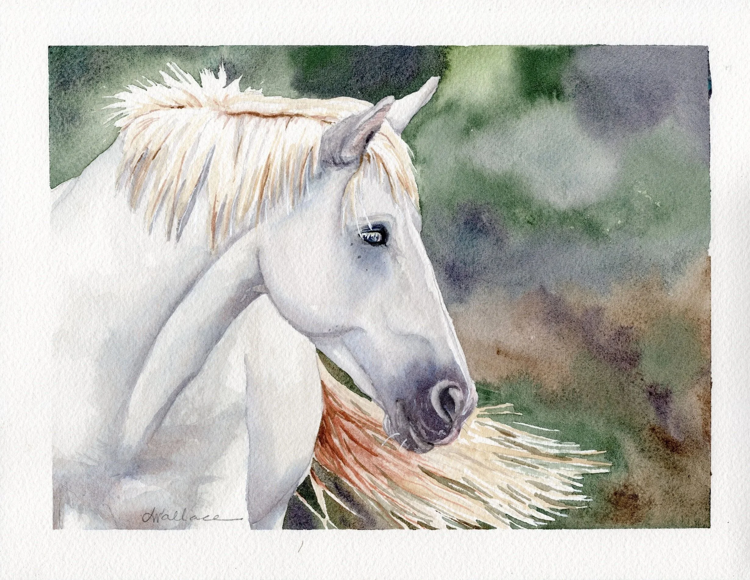 Grace, Unbridled