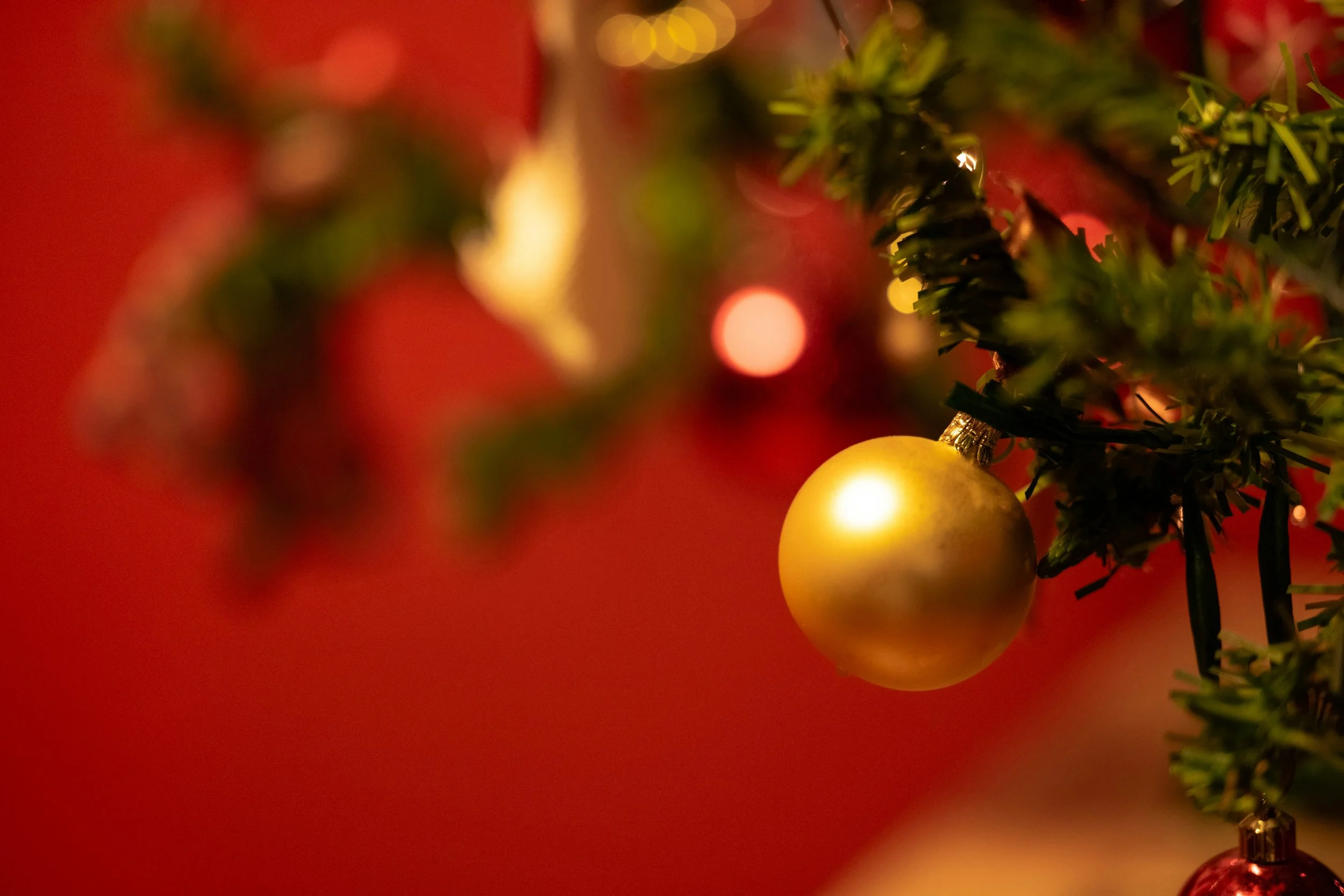 Christmas Party