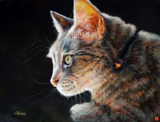 Captivated by Tami Hort-Lathwell.jpg