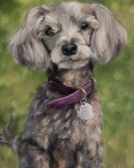 Goose by Tabitha Lester ‐ Oil ‐ 10 x 8.jpg
