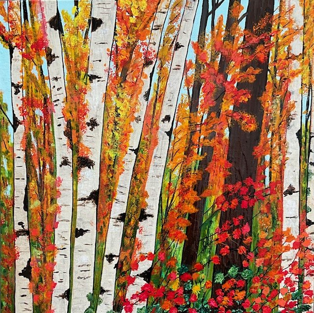 Birches in Fall