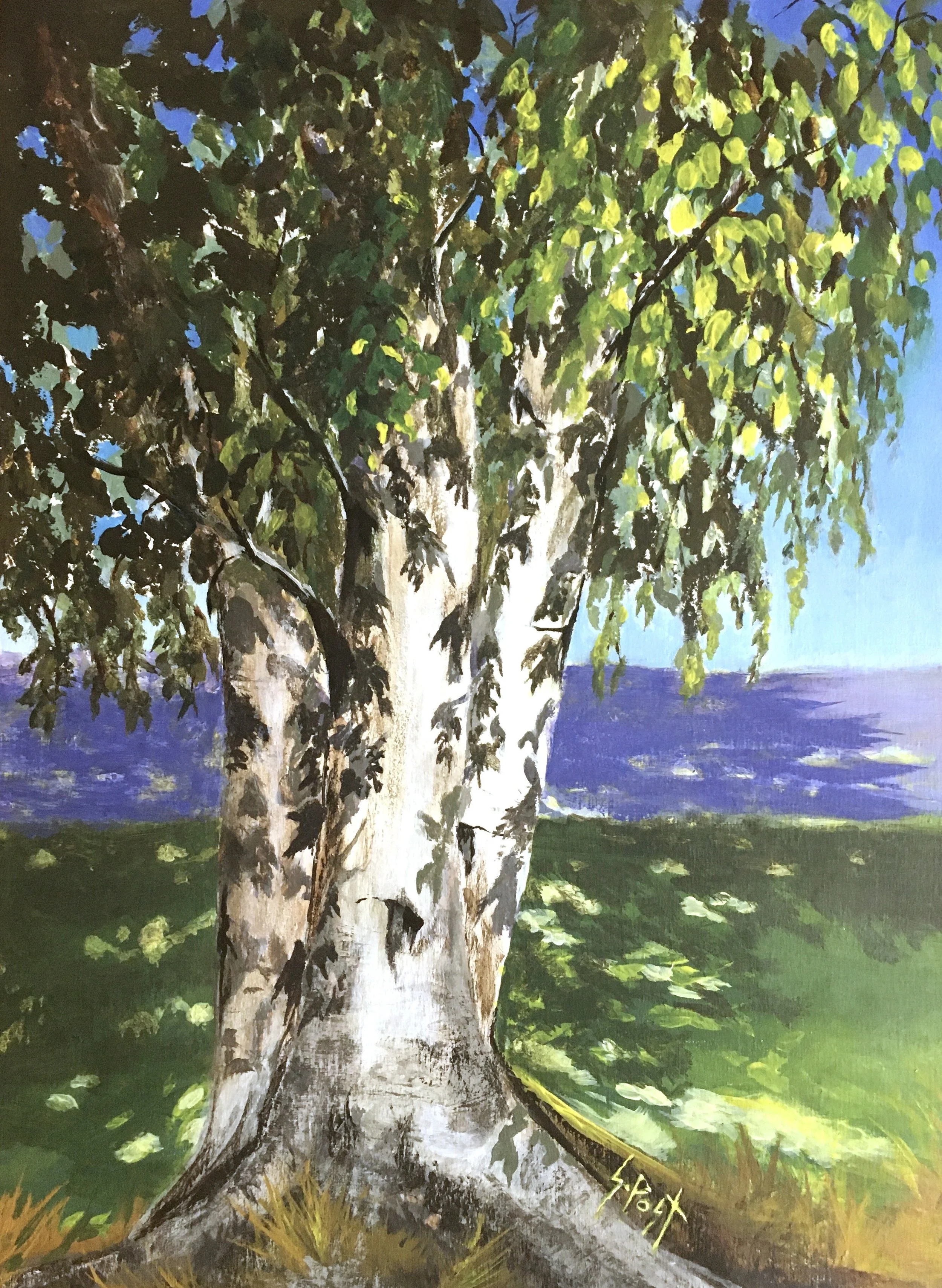 Paper Birch Patterns by Sharon Post_12_16.jpg