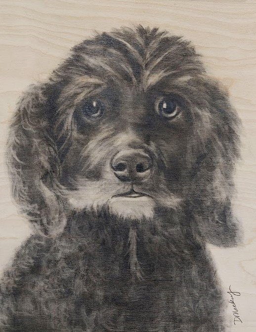 Dani Mackey_Frankie_20x16_Graphite on Wood.jpg