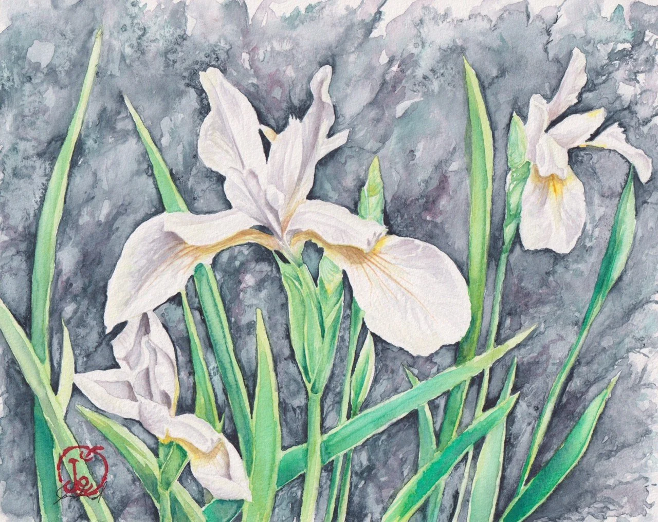 Arctic Iris