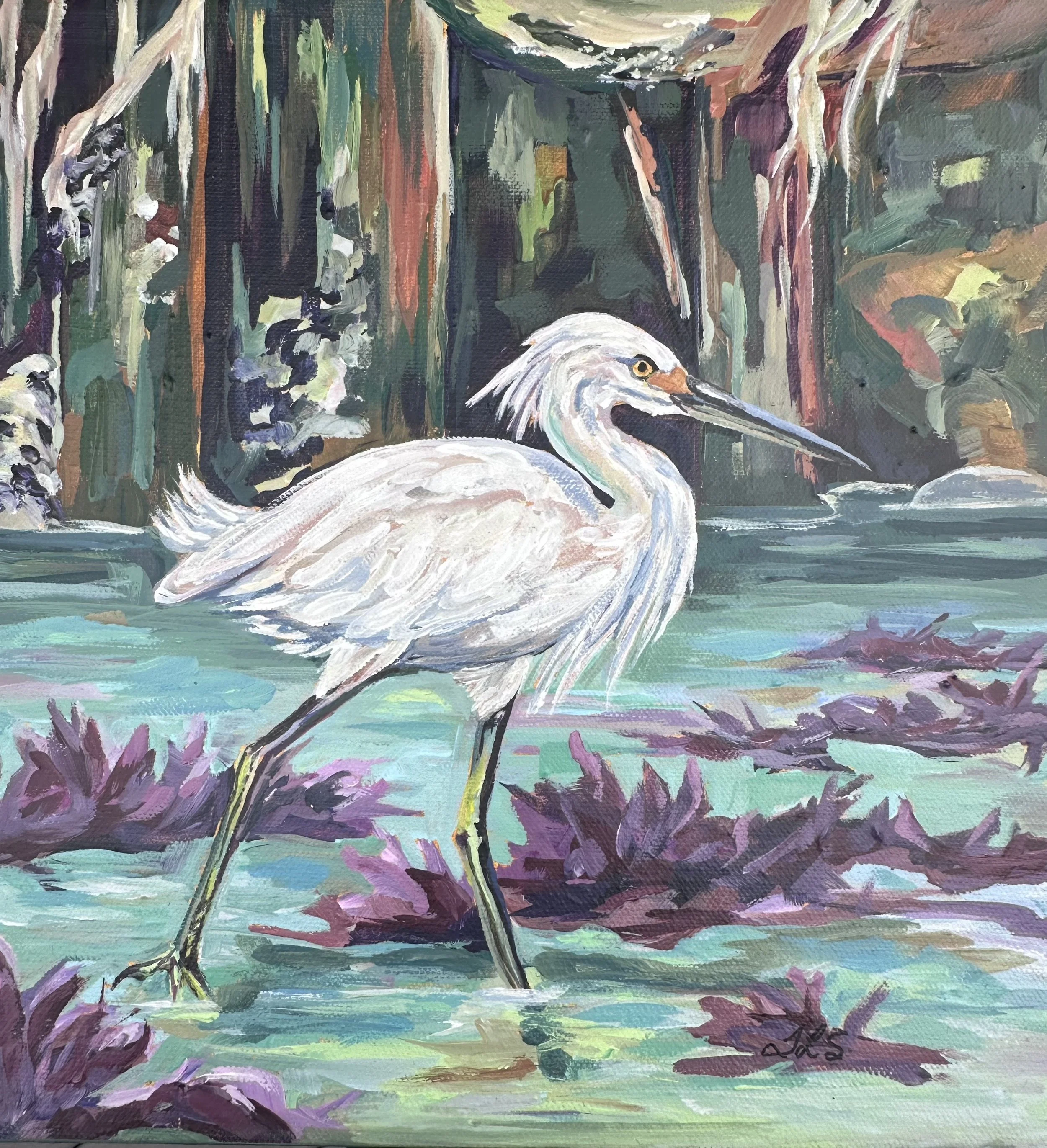 Snowy Egret in Sunny Mexico