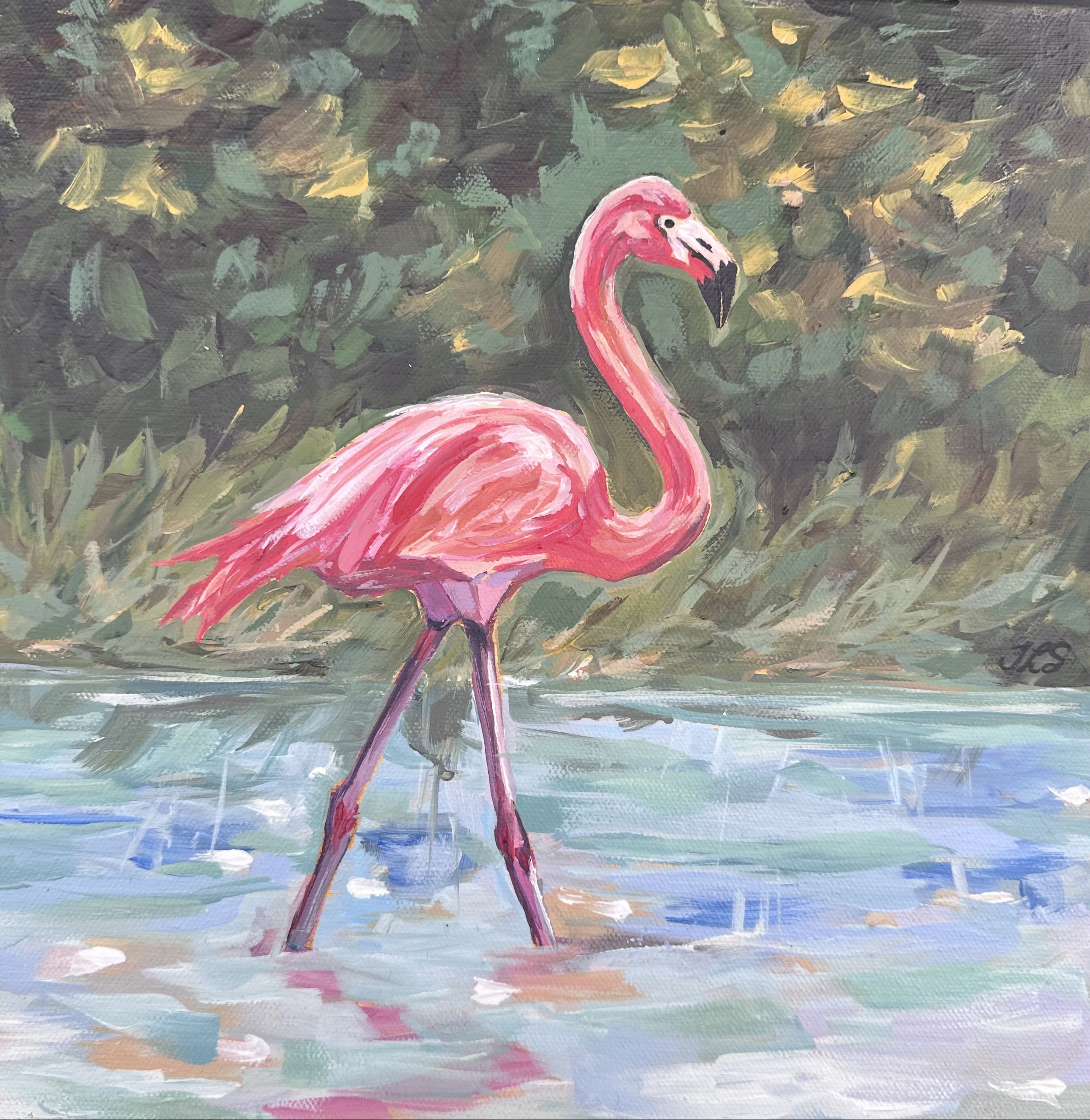 Flamingo Strut, Chuburna