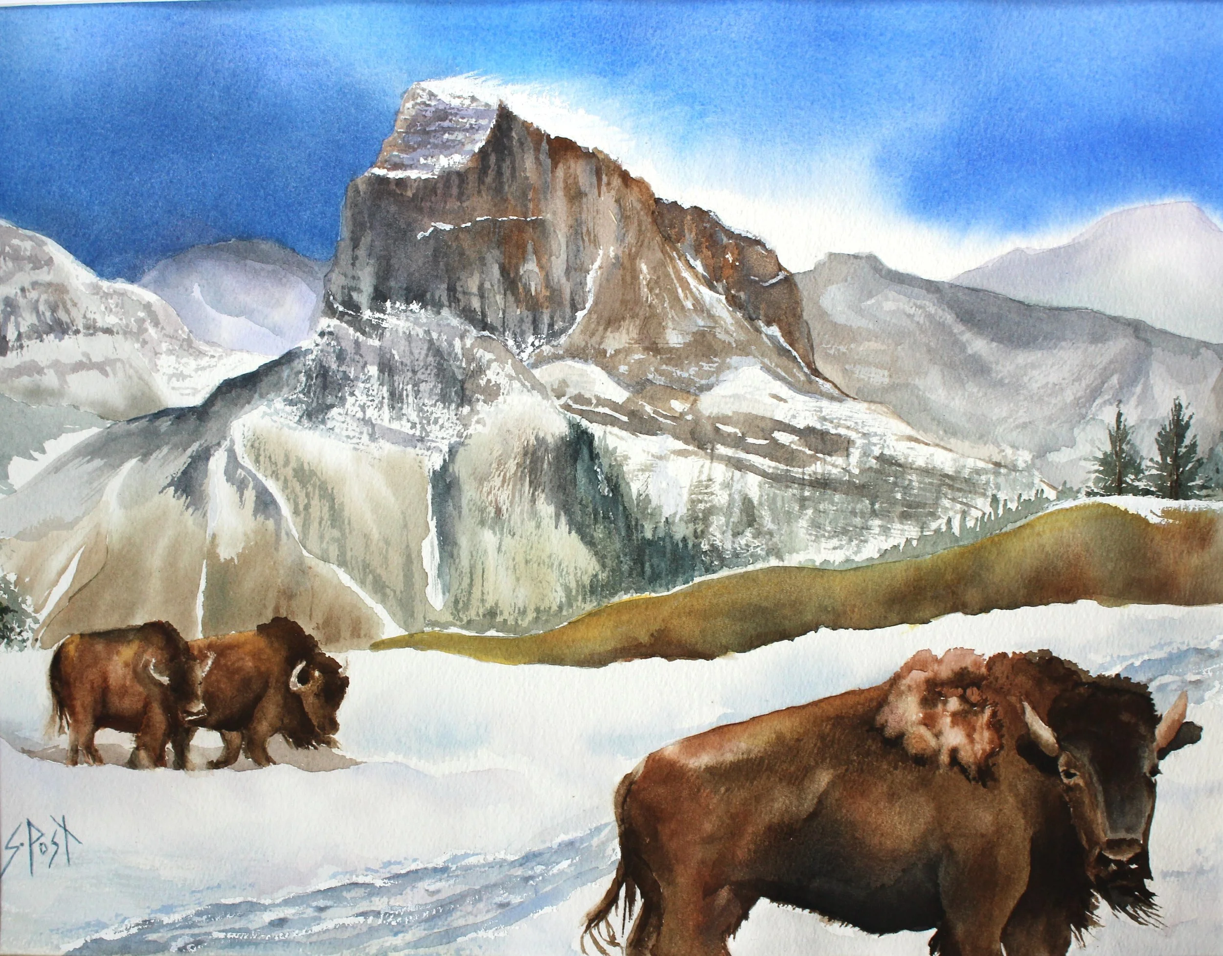 Where the Buffalo Should Roam by Sharon Post_24_20.jpg