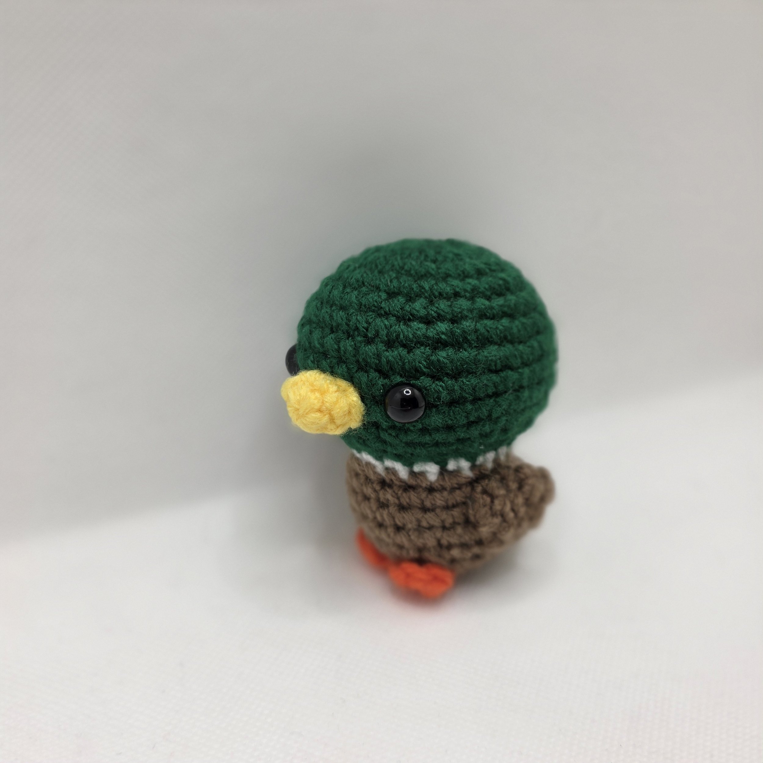 Duck