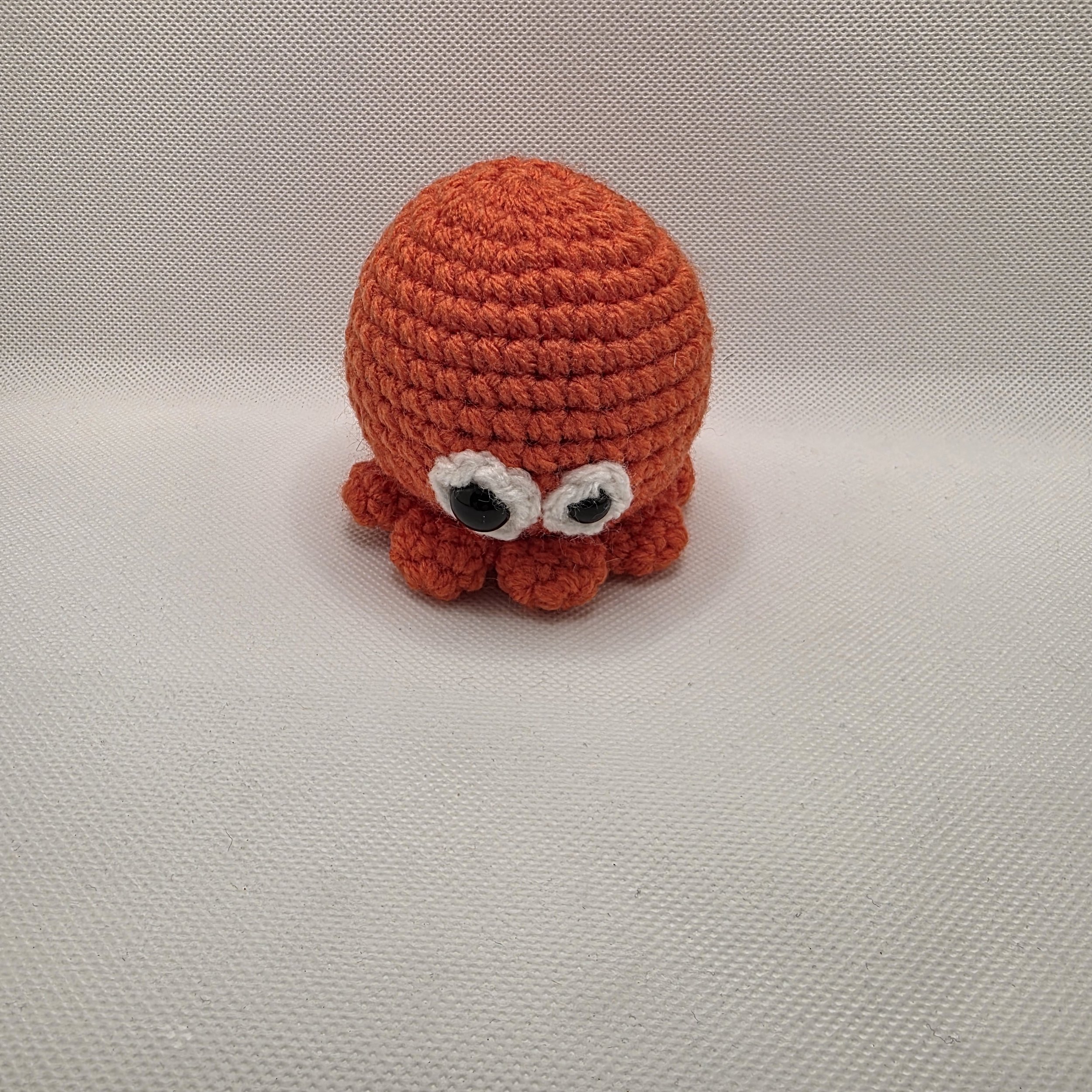Baby Octopus