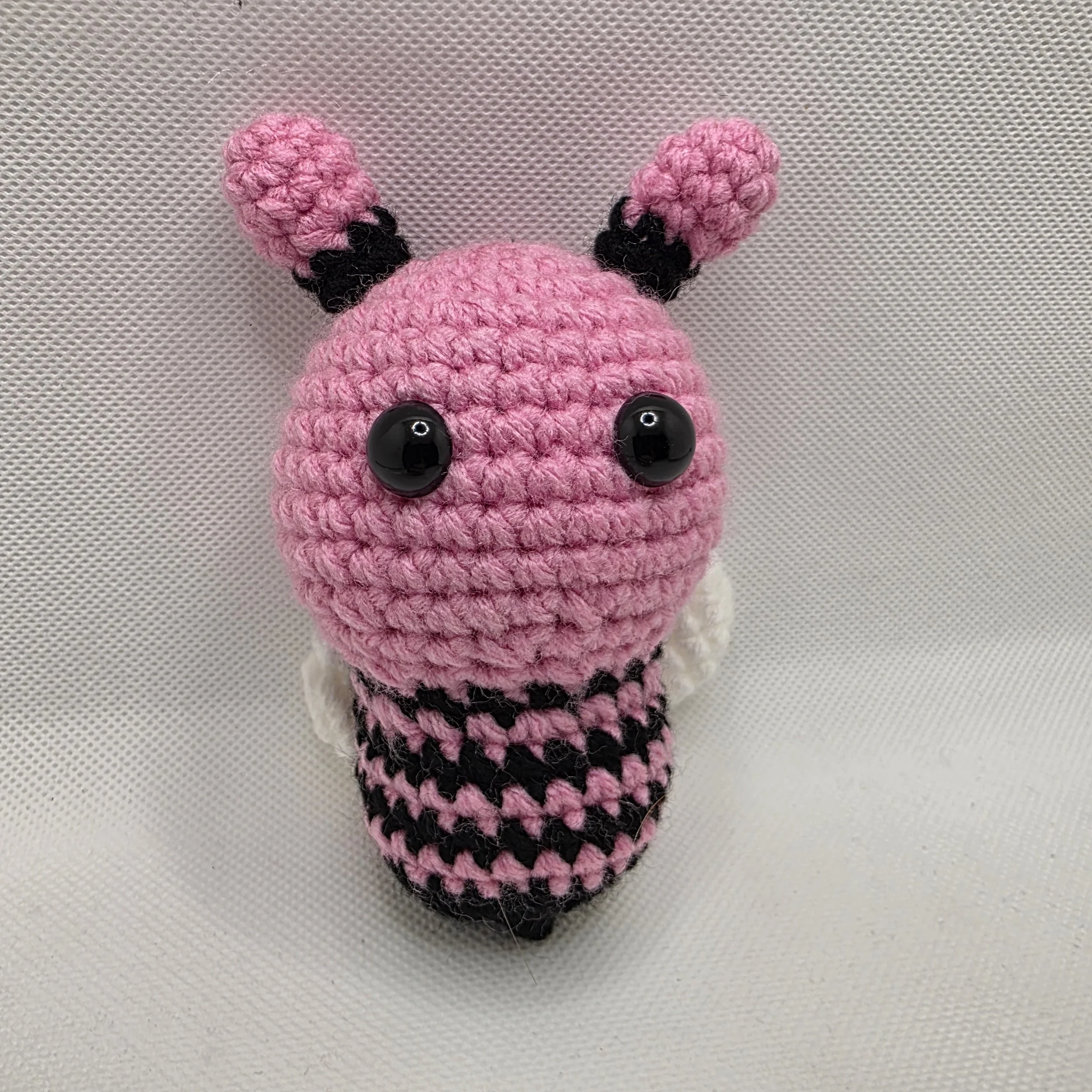 Baby Bumblebee