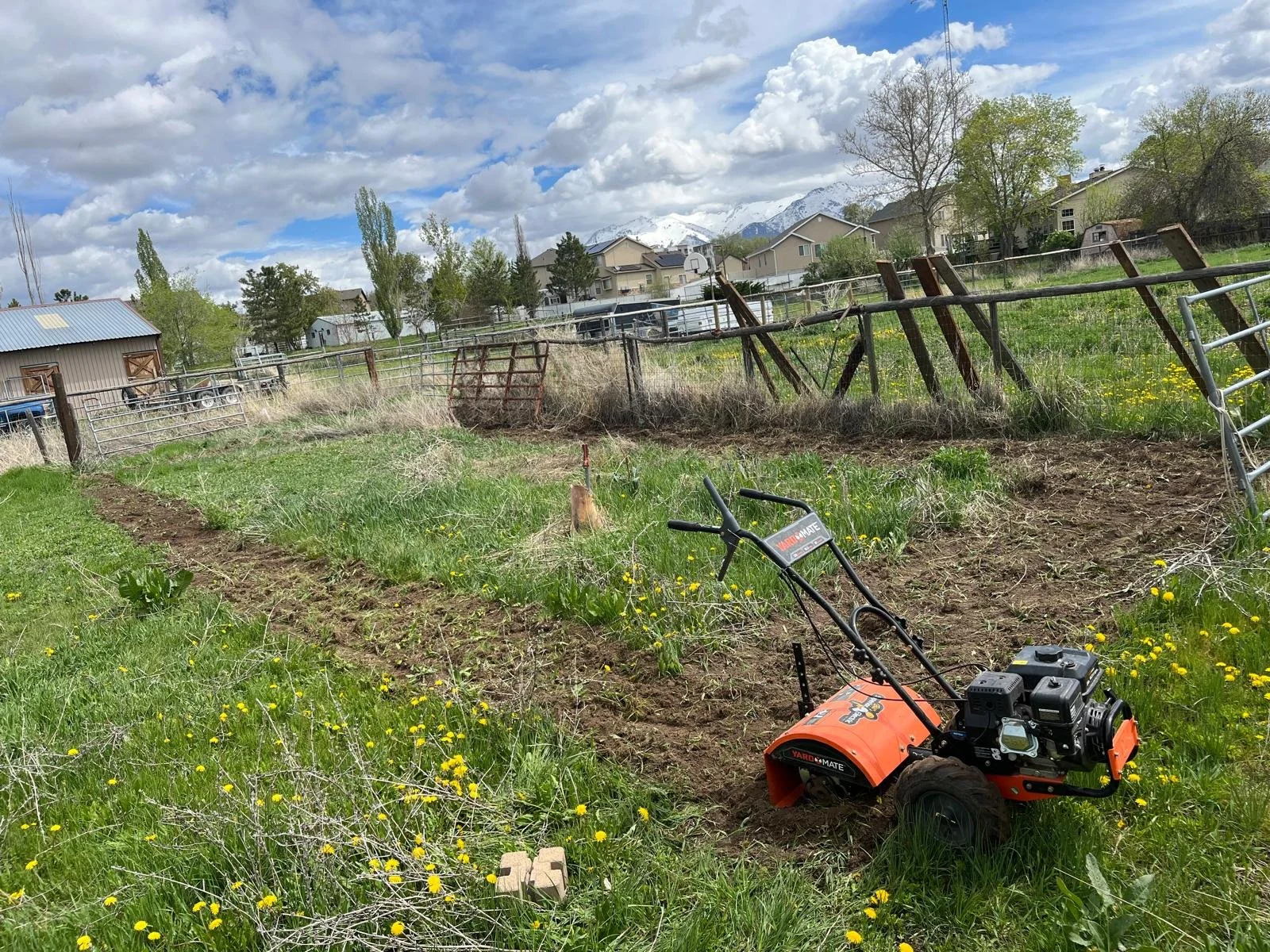 YARD TILLING