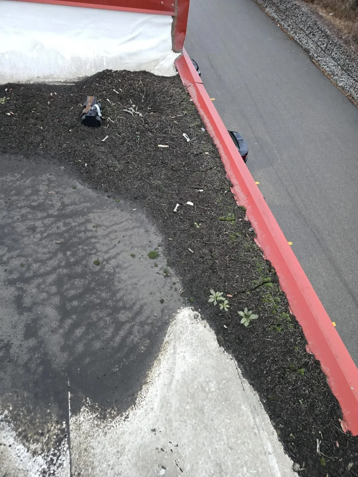 A sidewalk with darker, compacted soil next to a paved road with a red painted curb. There is a small pile of dirt or soil on the soil area and some small plants growing near the curb. A tool or piece of equipment is partially buried in the soil.