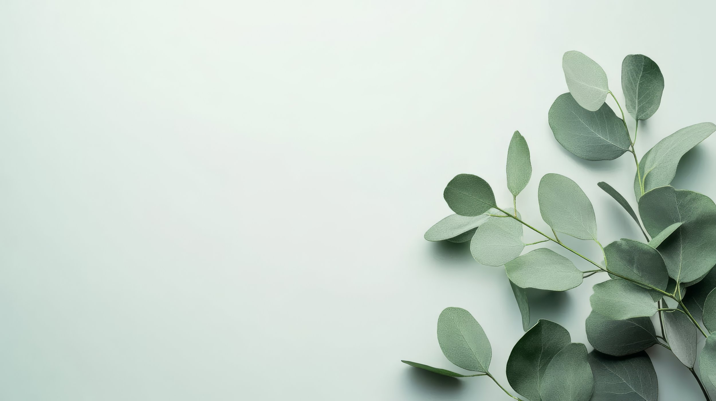 Prologue Aesthetics | Medspa in Wausau, WI, 54403 | Botox, Filler, Peels