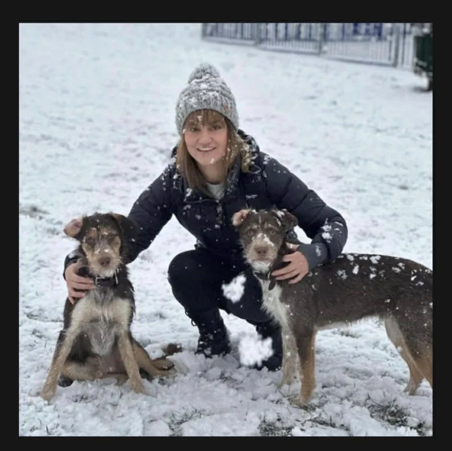 A woman crouching in snow with two dogs, all covered in snow, outdoors near a fence.