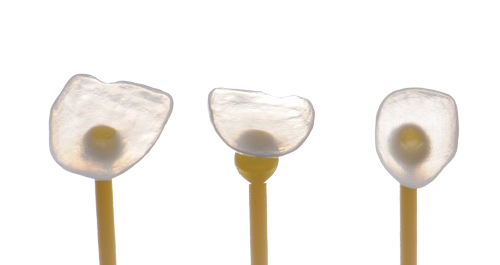 Close-up of three marshmallows on sticks, with the middle marshmallow standing upright, and the other two tilted to the sides.
