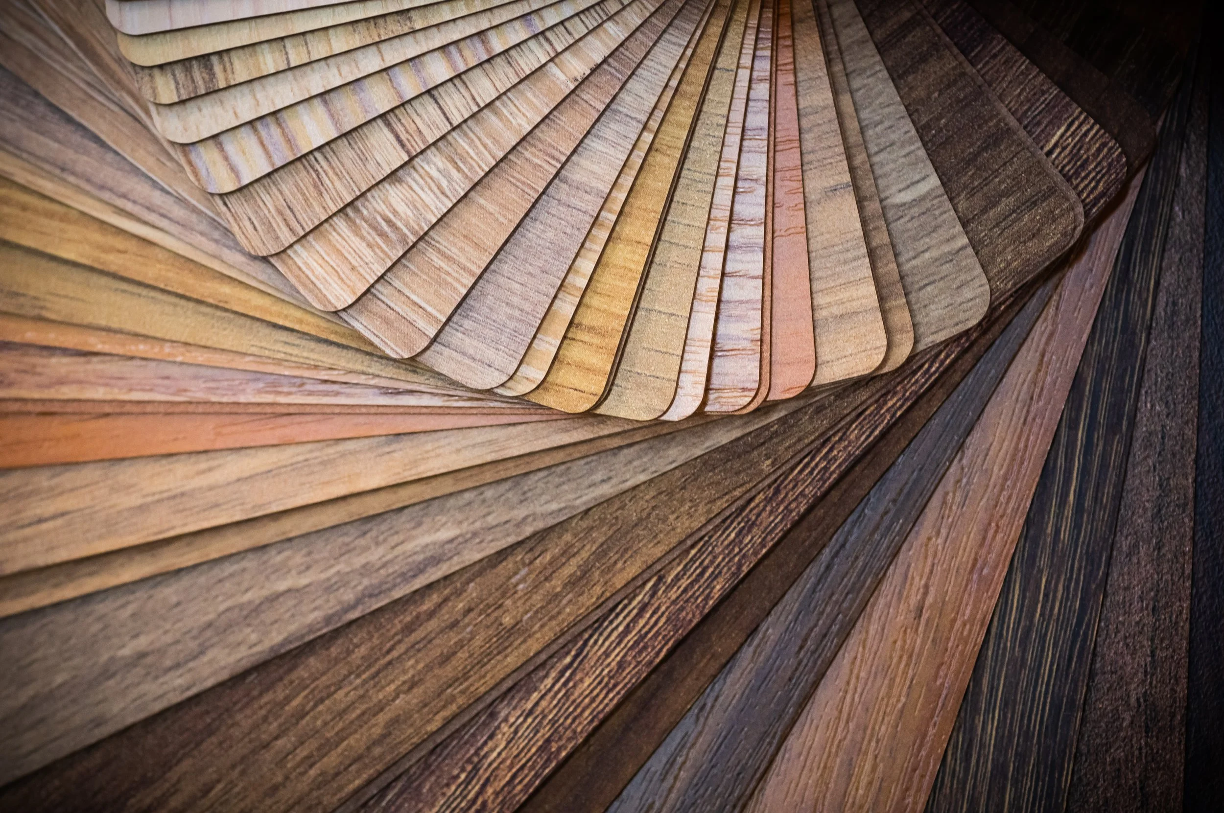 Close-up of a collection of wood samples with varying shades and grain patterns, fanned out in a semi-circle.