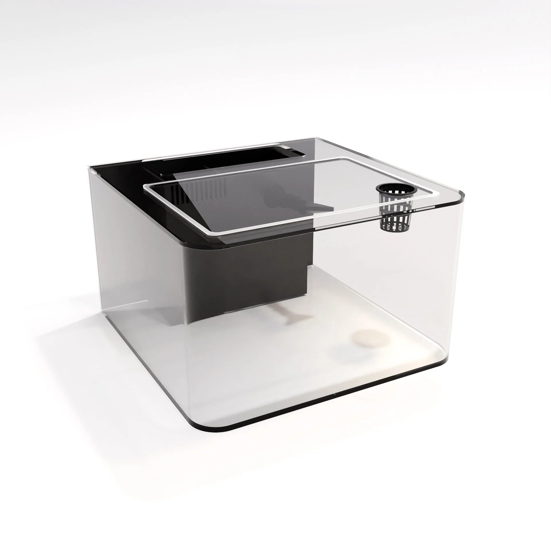 Custom Aquarium