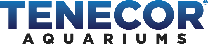 Logos of the Federal Reserve Bank of Dallas and American Bankers Association.