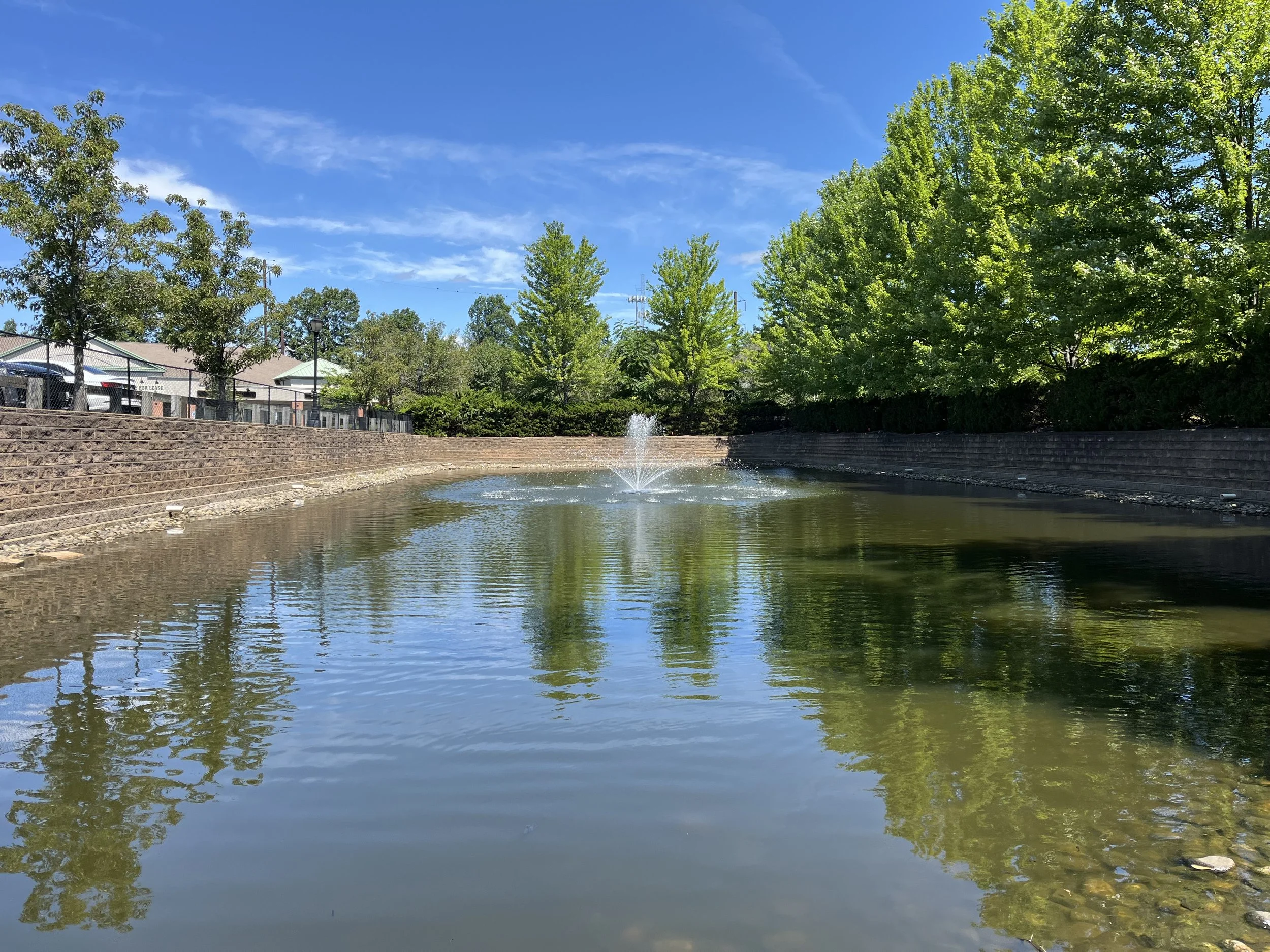 filamentous algal bloom, 2 weeks after treatment