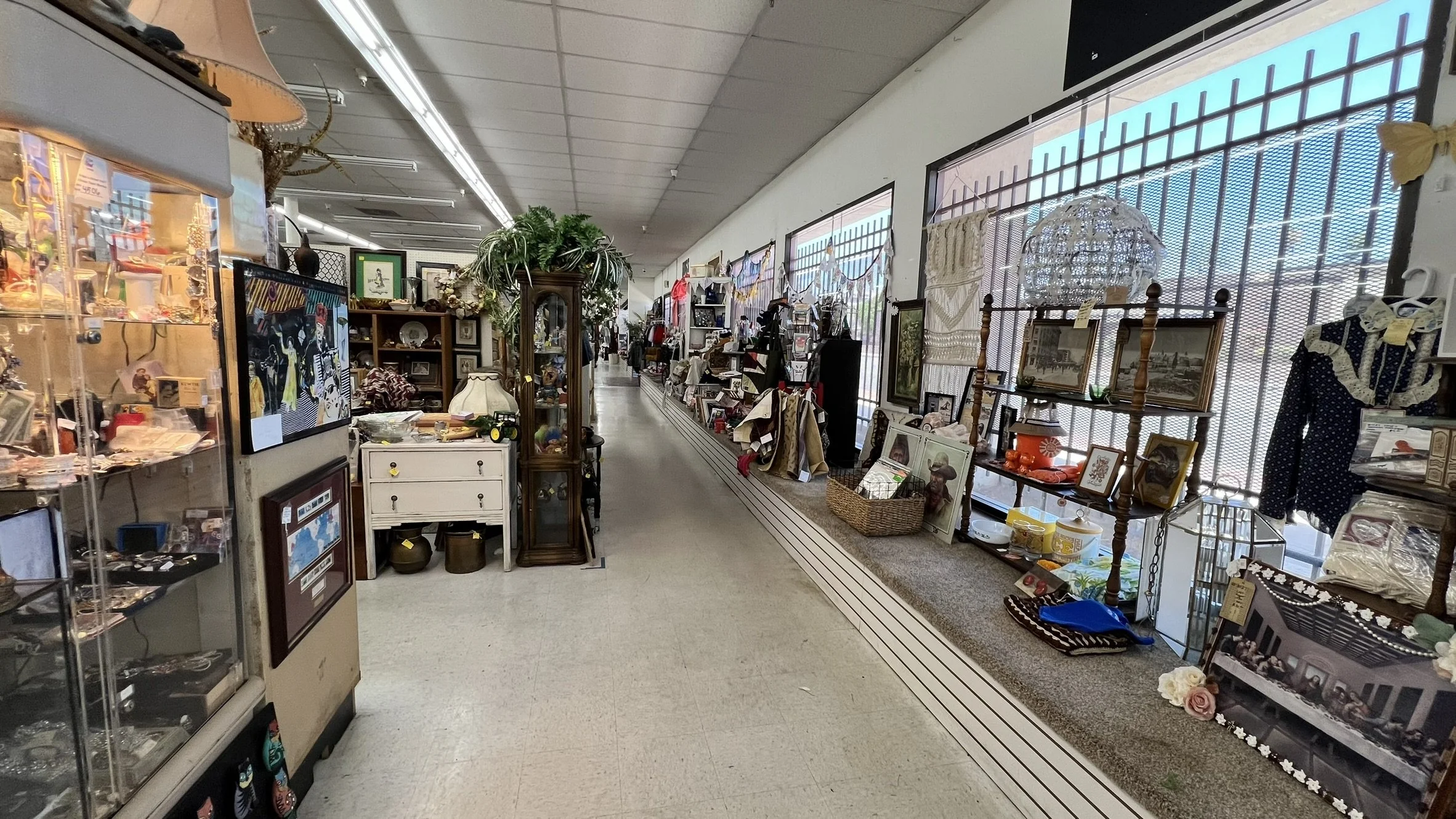 Inside a thrift store with various vintage items and decor displayed on shelves and tables, illuminated by natural light from large windows.