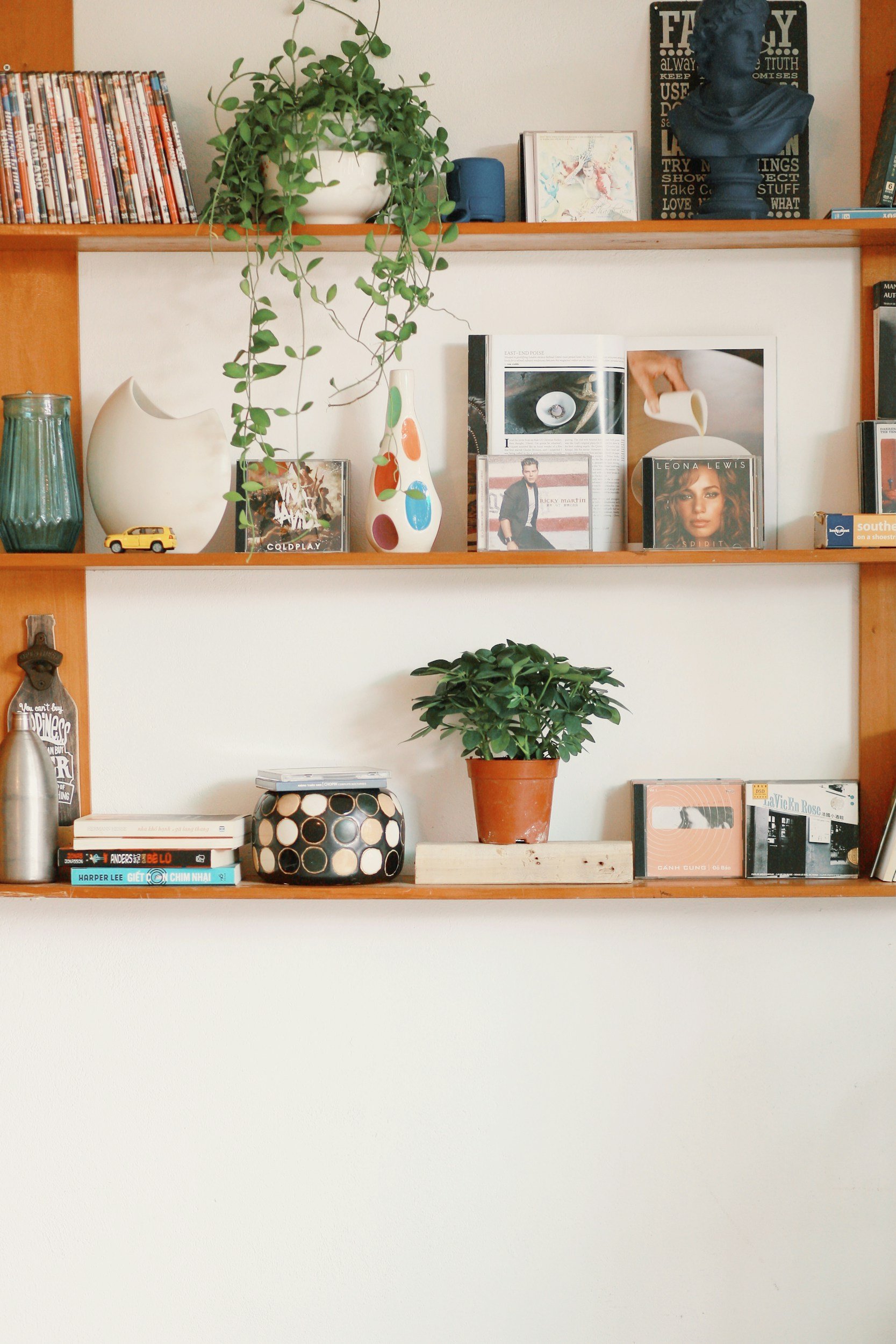 A wooden wall shelf with various decorative items, books, and plants, including a green leafy plant in a terracotta pot, a bouquet of books, arts and office supplies, and decorative vases. The shelf is set against a white wall with a small section of brick visible at the bottom.