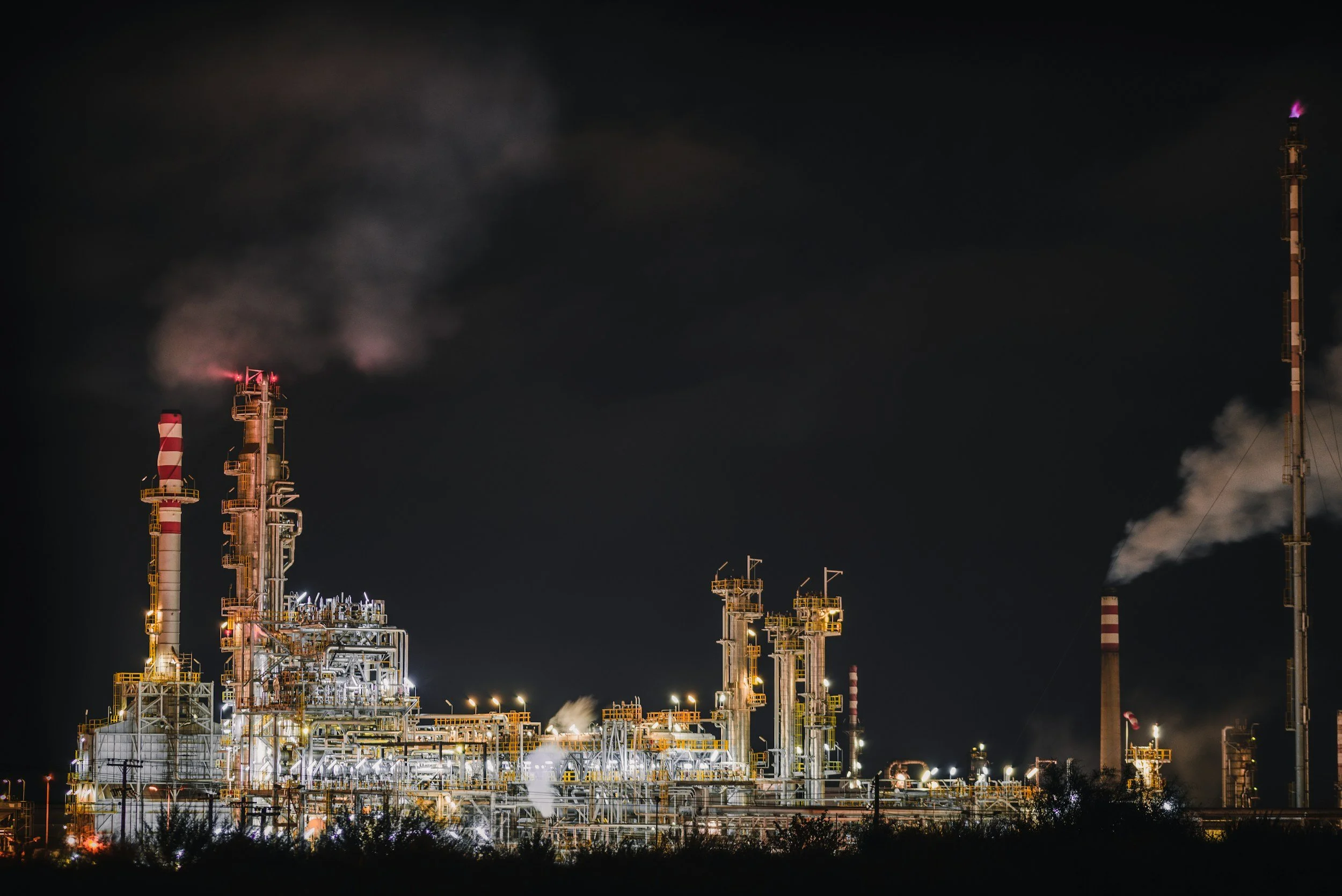 Endocrine Disrupting Chemicals (EDCs)