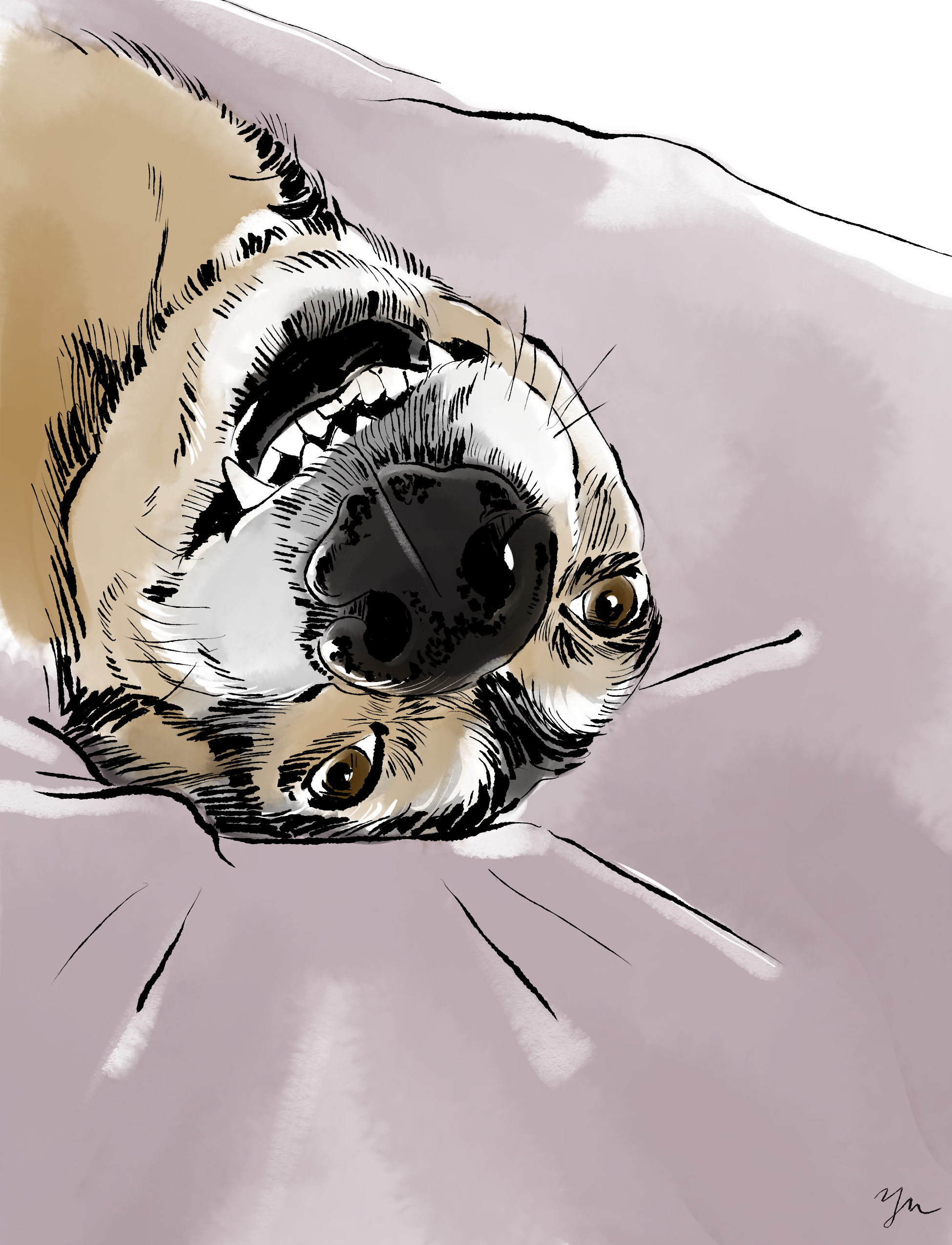 Illustration44.png
